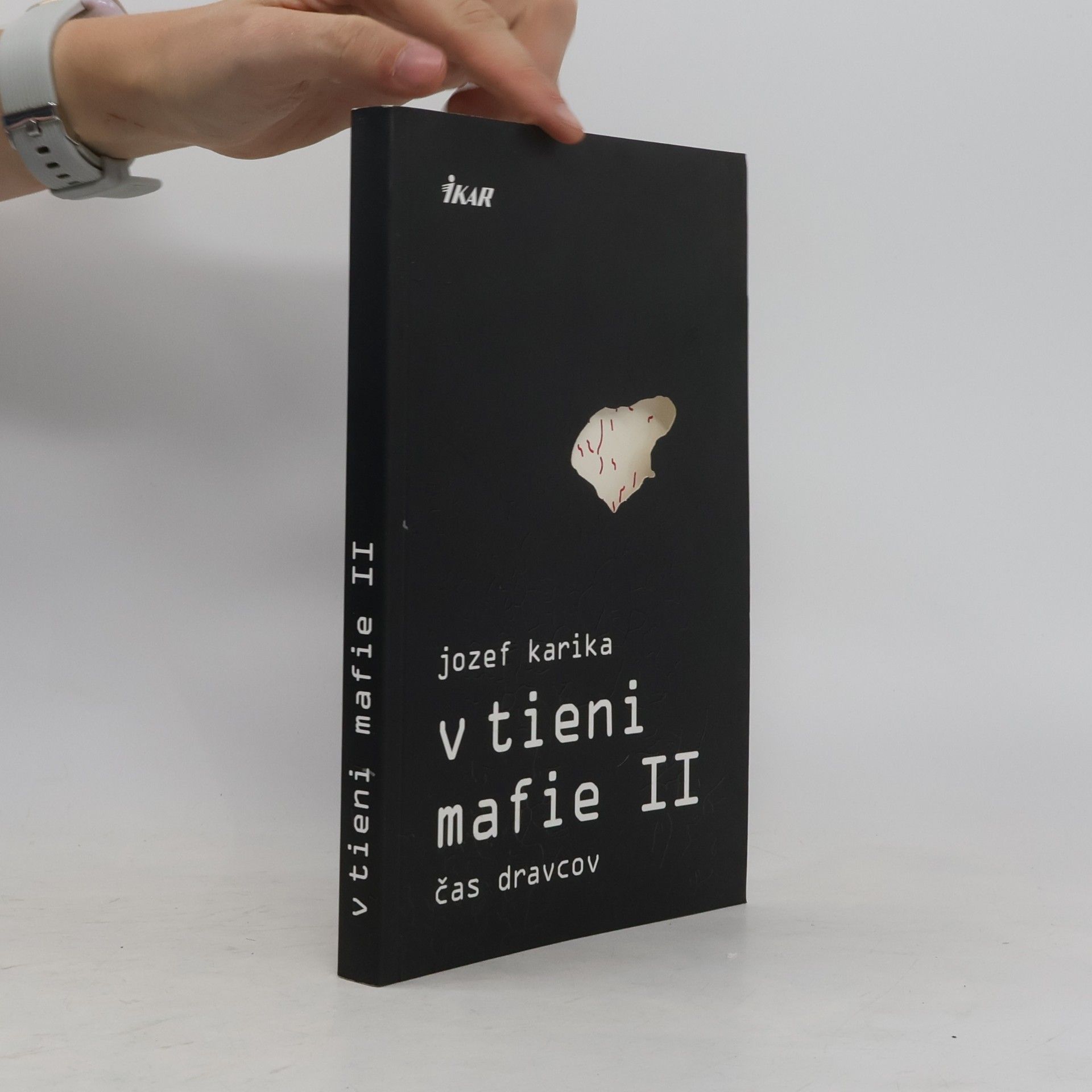 Jozef Karika V tieni mafie II. Čas dravcov
