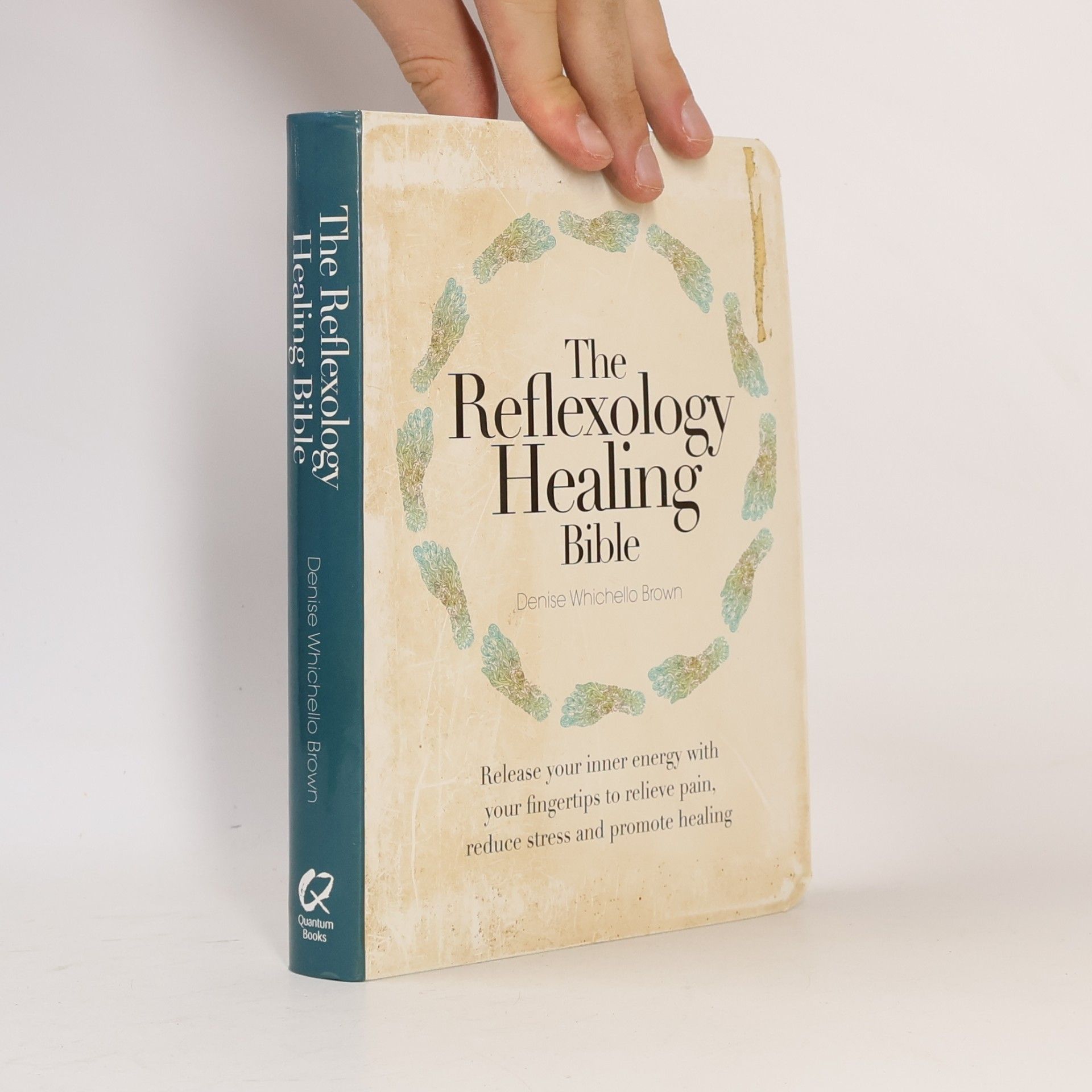 Denise Whichello Brown The Reflexology Healing Bible