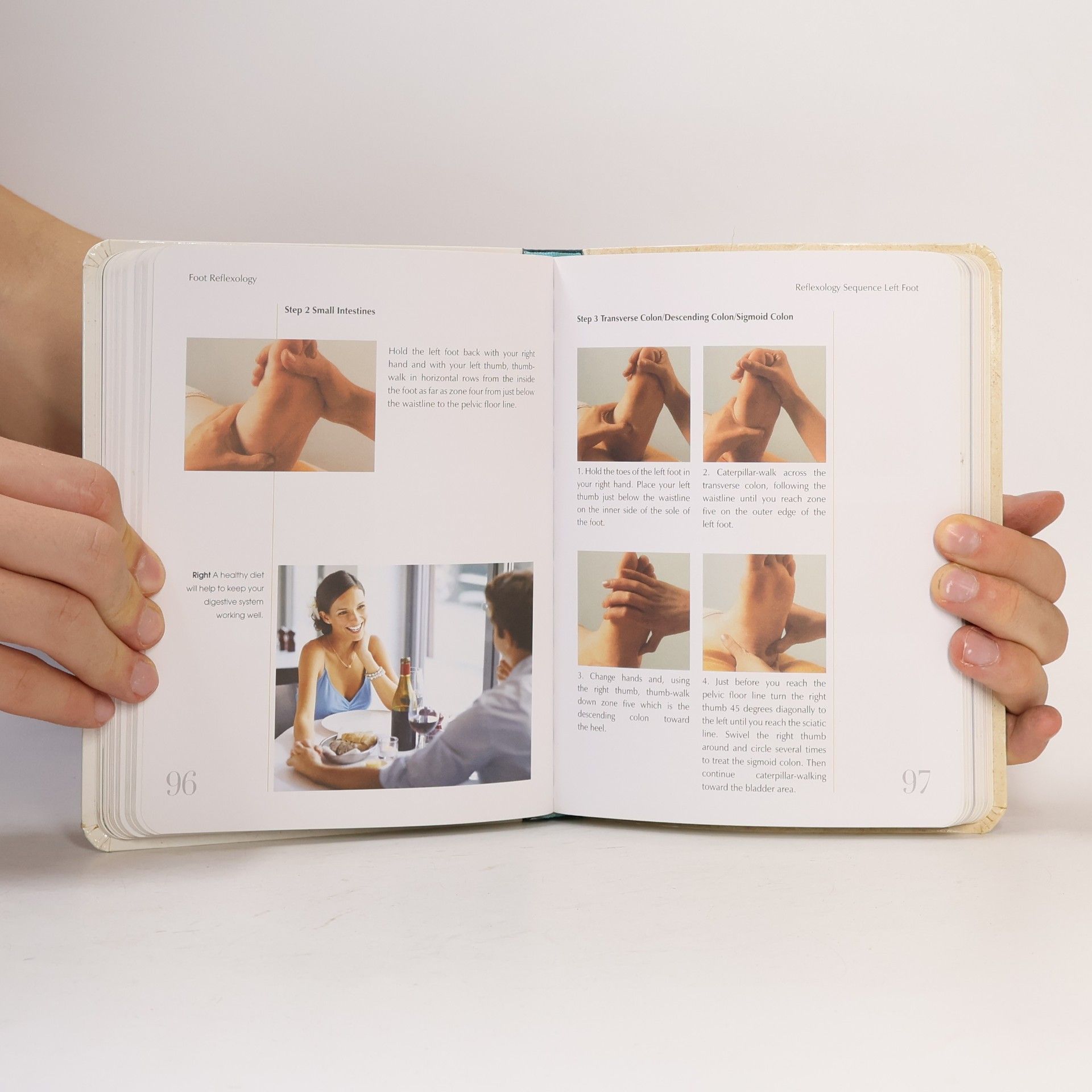 Denise Whichello Brown The Reflexology Healing Bible