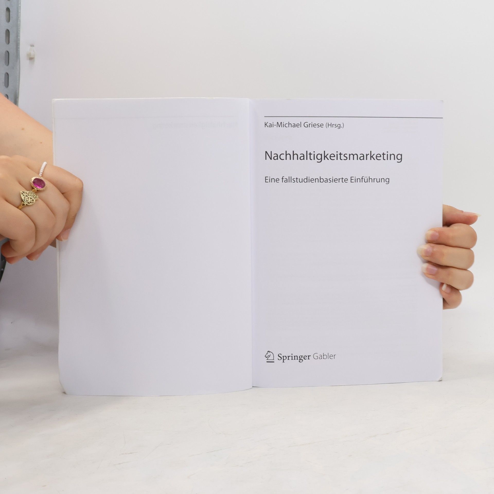 Kai-Michael Griese Nachhaltigkeitsmarketing