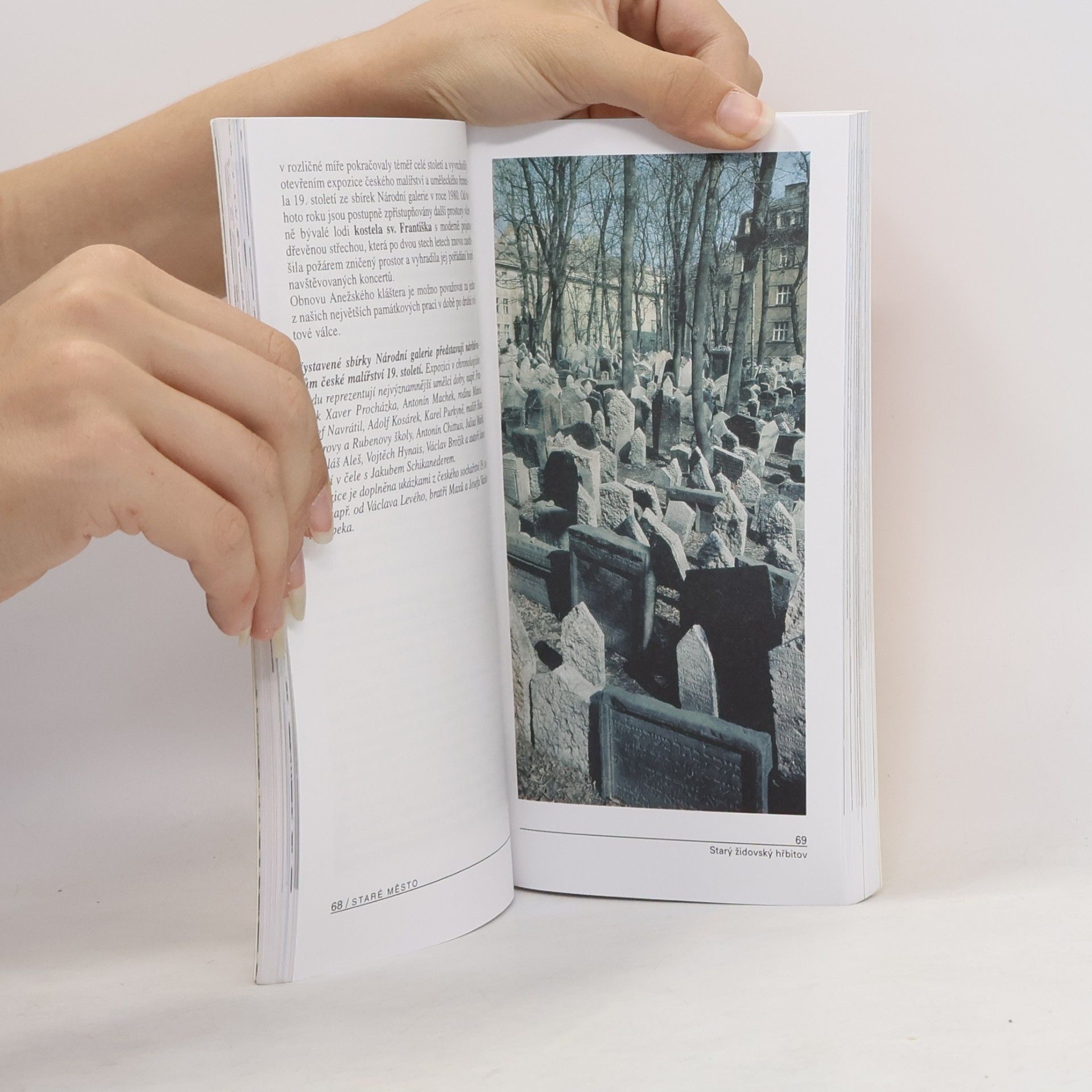 Ctibor Rybár 100 památek historických měst pražských