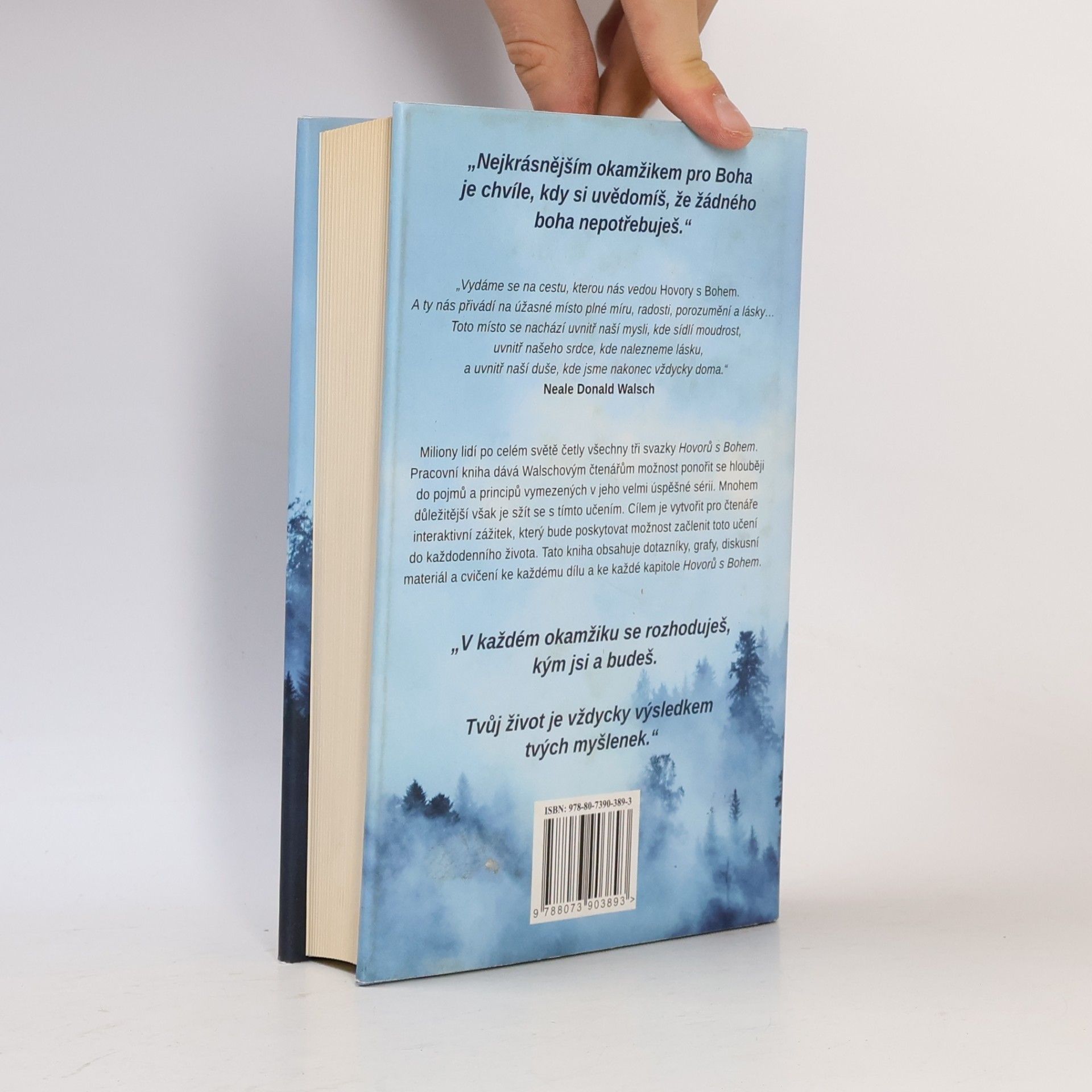 Neale Donald Walsch Hovory s Bohem: Pracovní kniha