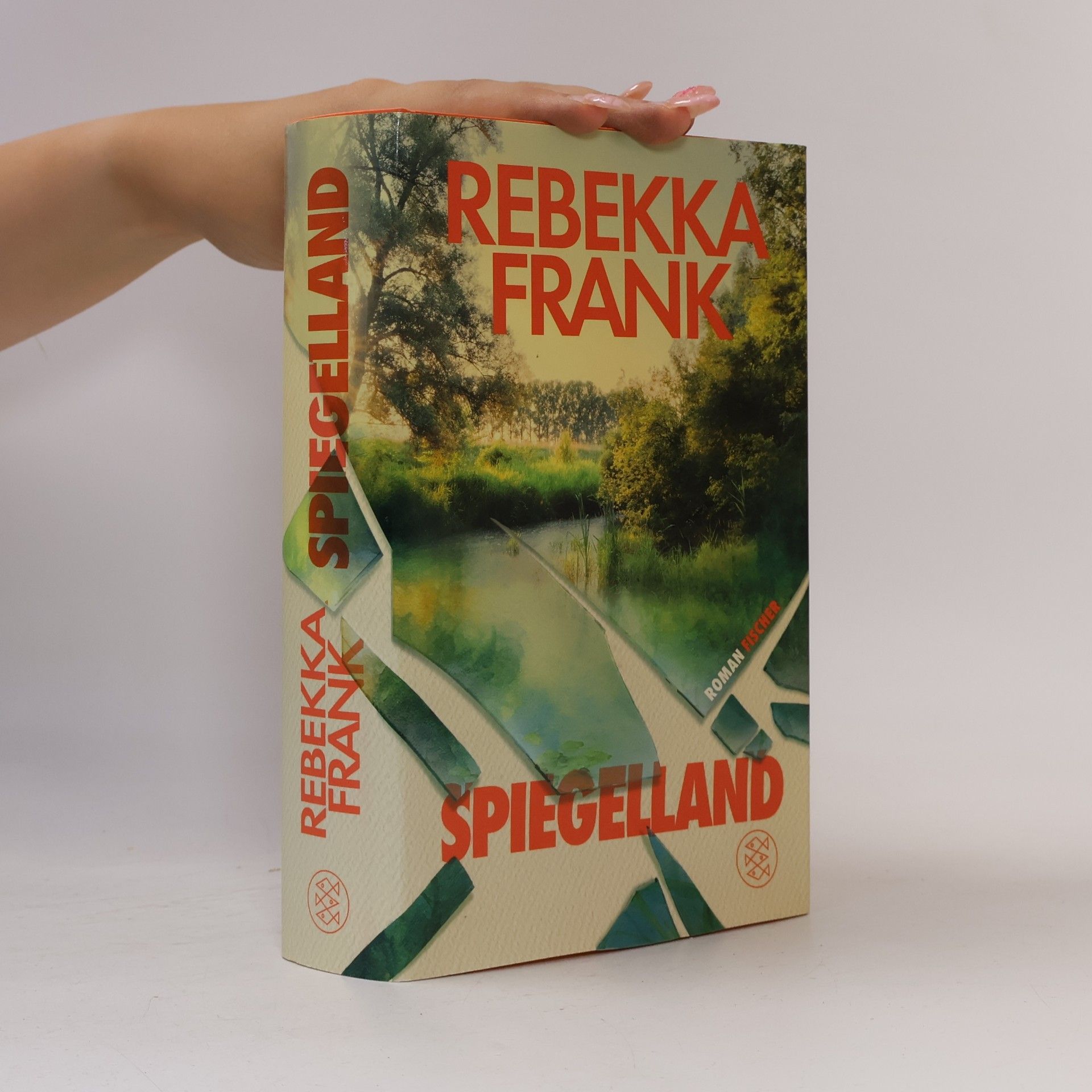 Rebekka Frank Spiegelland: Der neue Roman der Autorin von Stromlinien