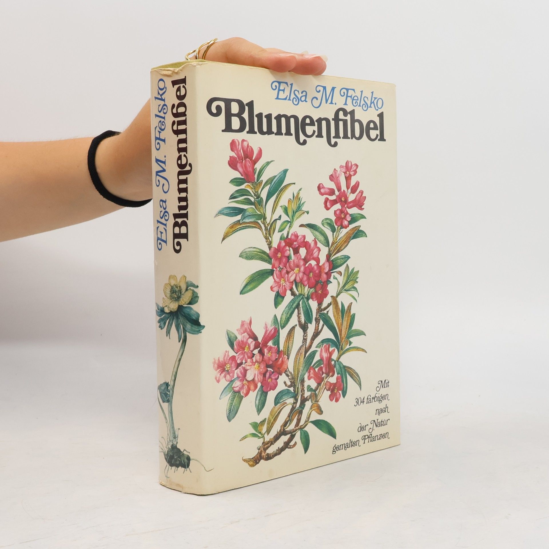 Elsa M. Felsko Blumenfibel