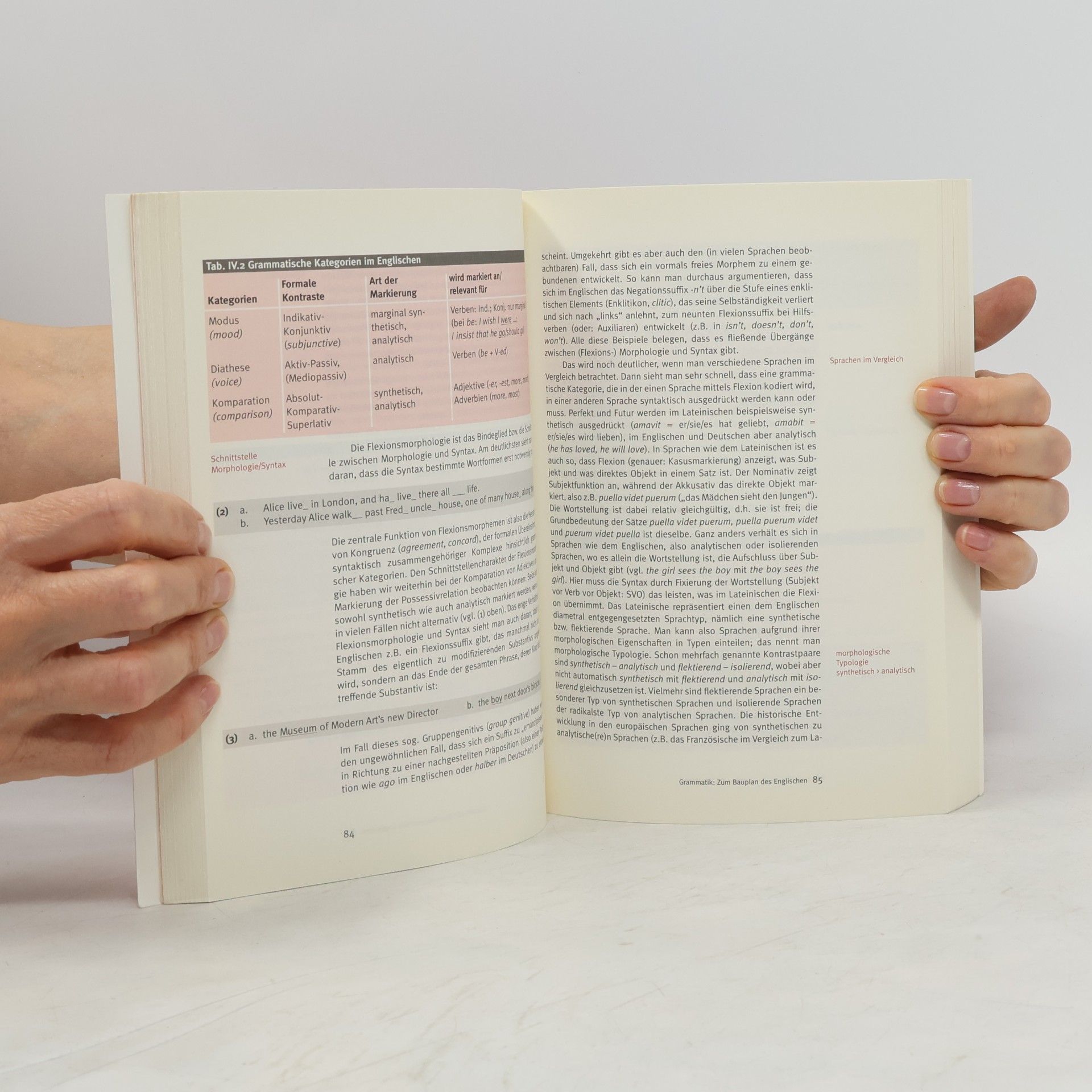 Bernd Kortmann Linguistik: Essentials, Anglistik, Amerikanistik