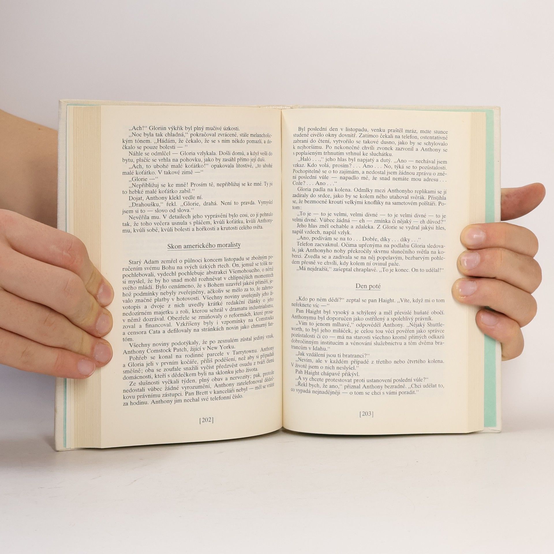 Francis Scott Fitzgerald Krásní a prokletí