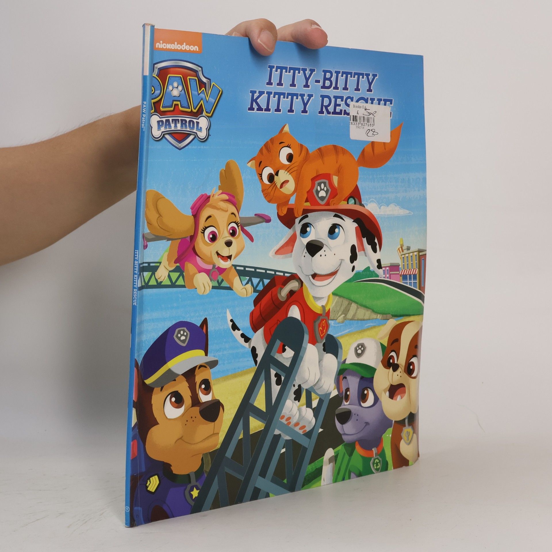 Collectif d'auteurs Nickelodeon Paw Patrol Itty-Bitty Kitty Rescue