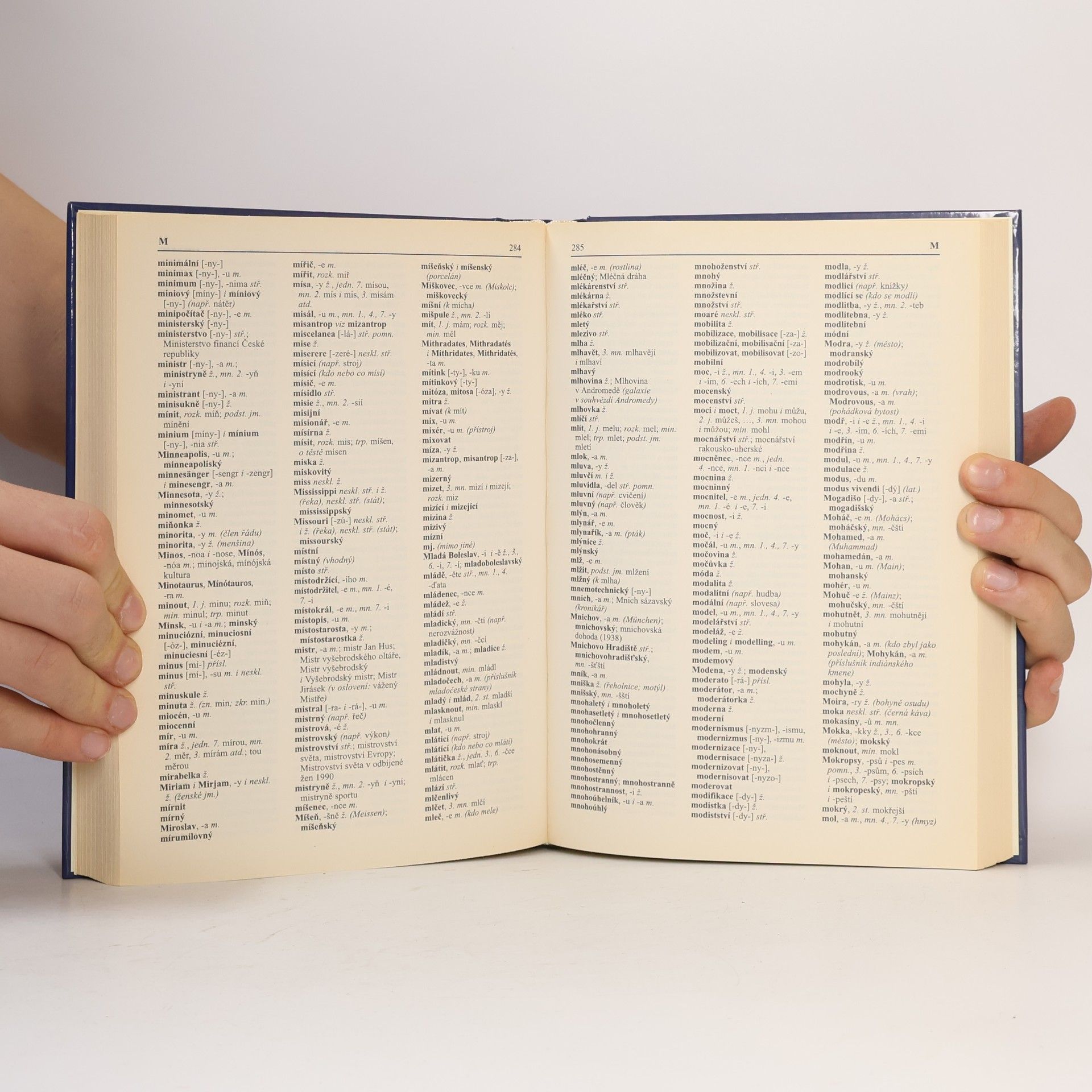 Various authors Pravidla českého pravopisu s výkladem mluvnice