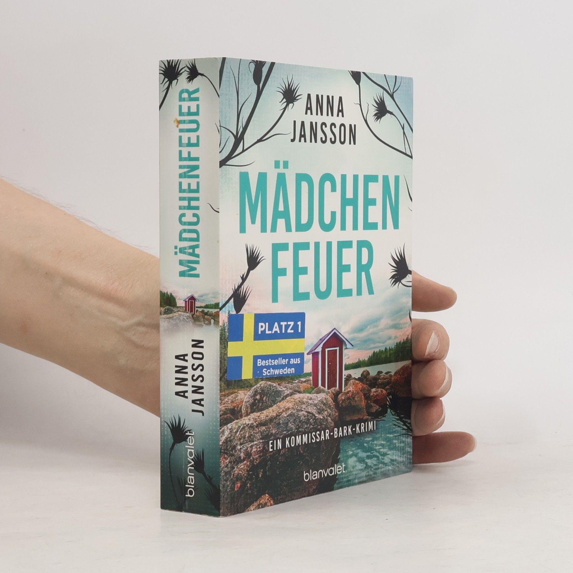 Anna Jansson Mädchenfeuer