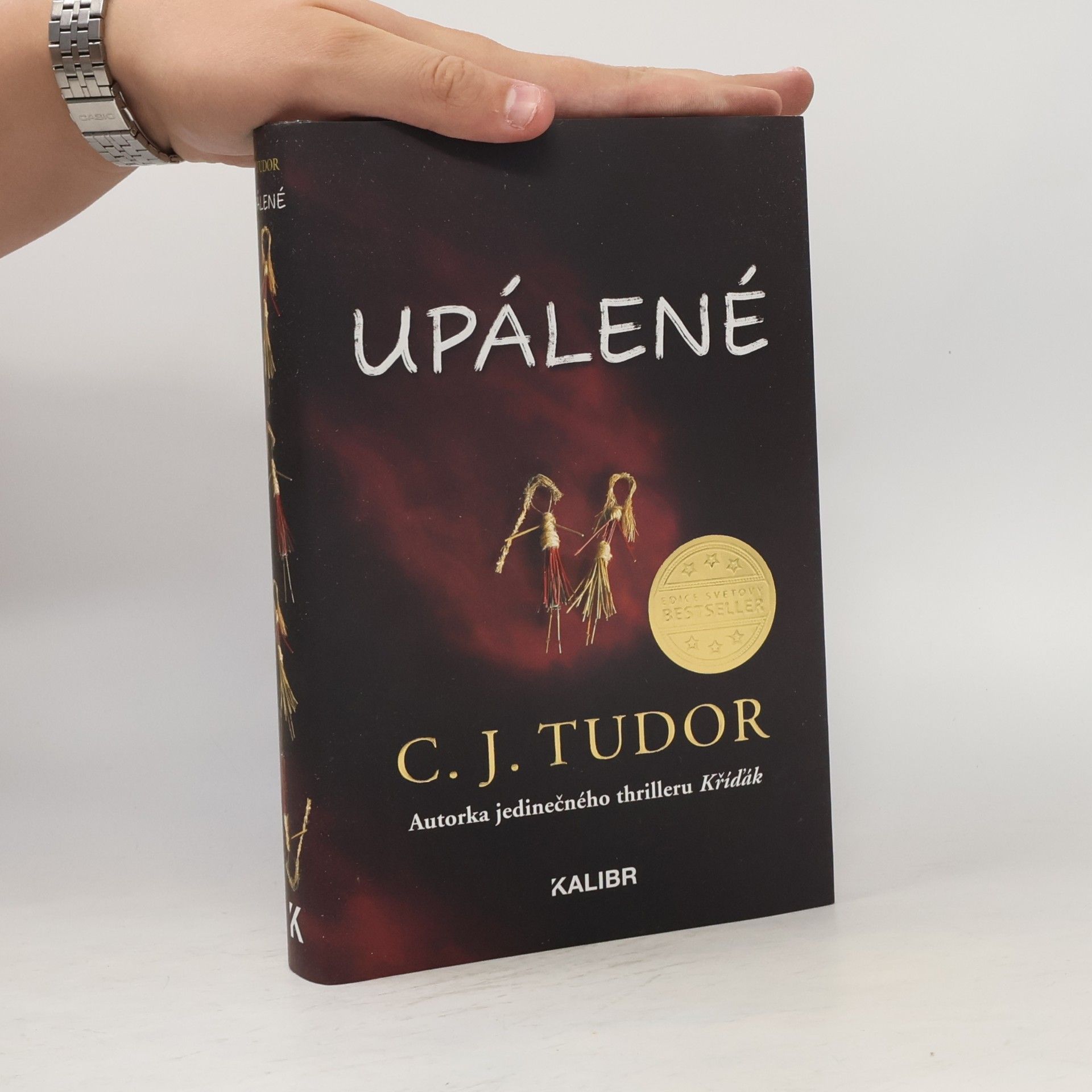 C. J. Tudor Upálené