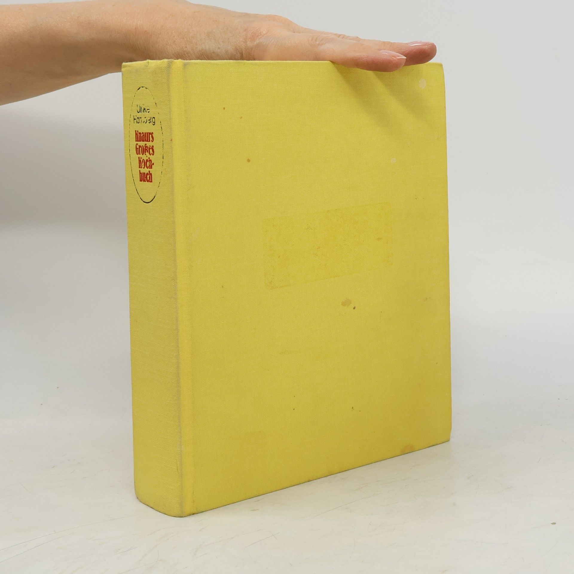 Ulrike Hornberg Knaurs Großes Kochbuch