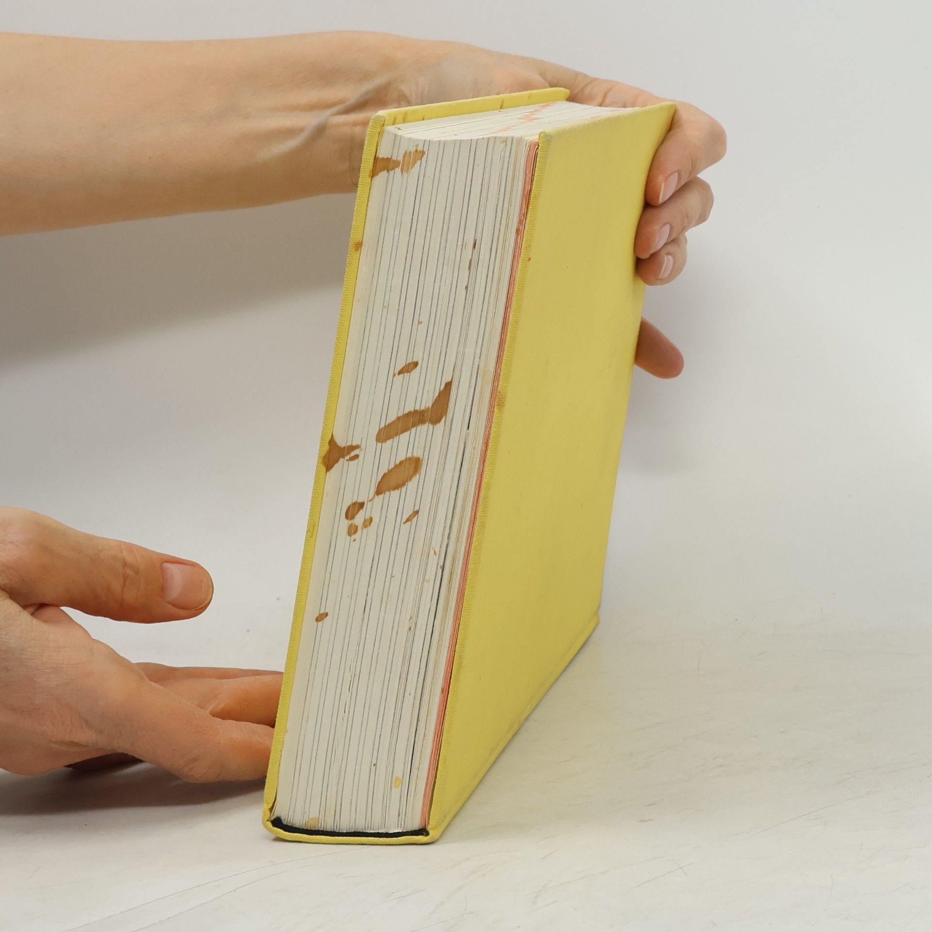 Ulrike Hornberg Knaurs Großes Kochbuch