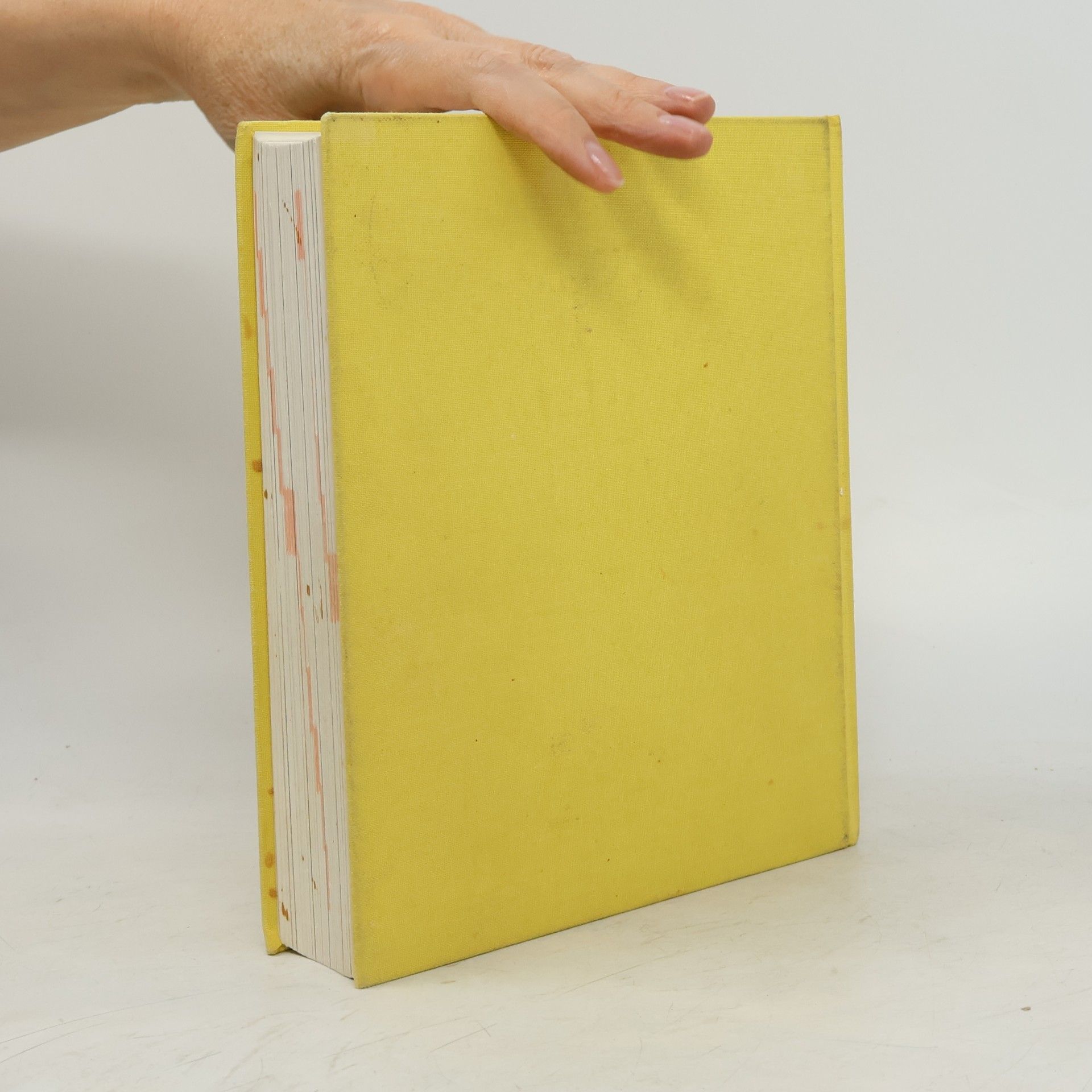 Ulrike Hornberg Knaurs Großes Kochbuch