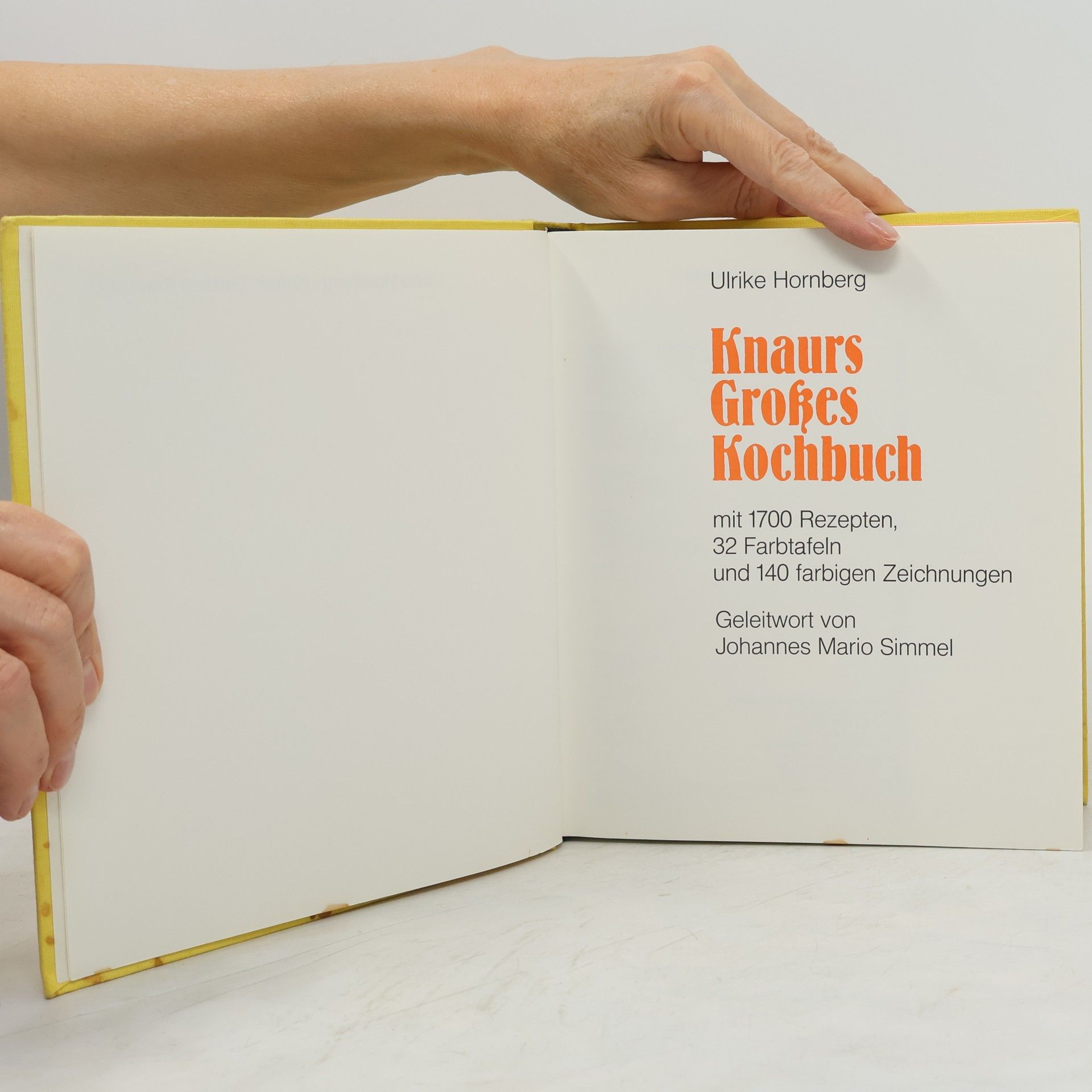 Ulrike Hornberg Knaurs Großes Kochbuch