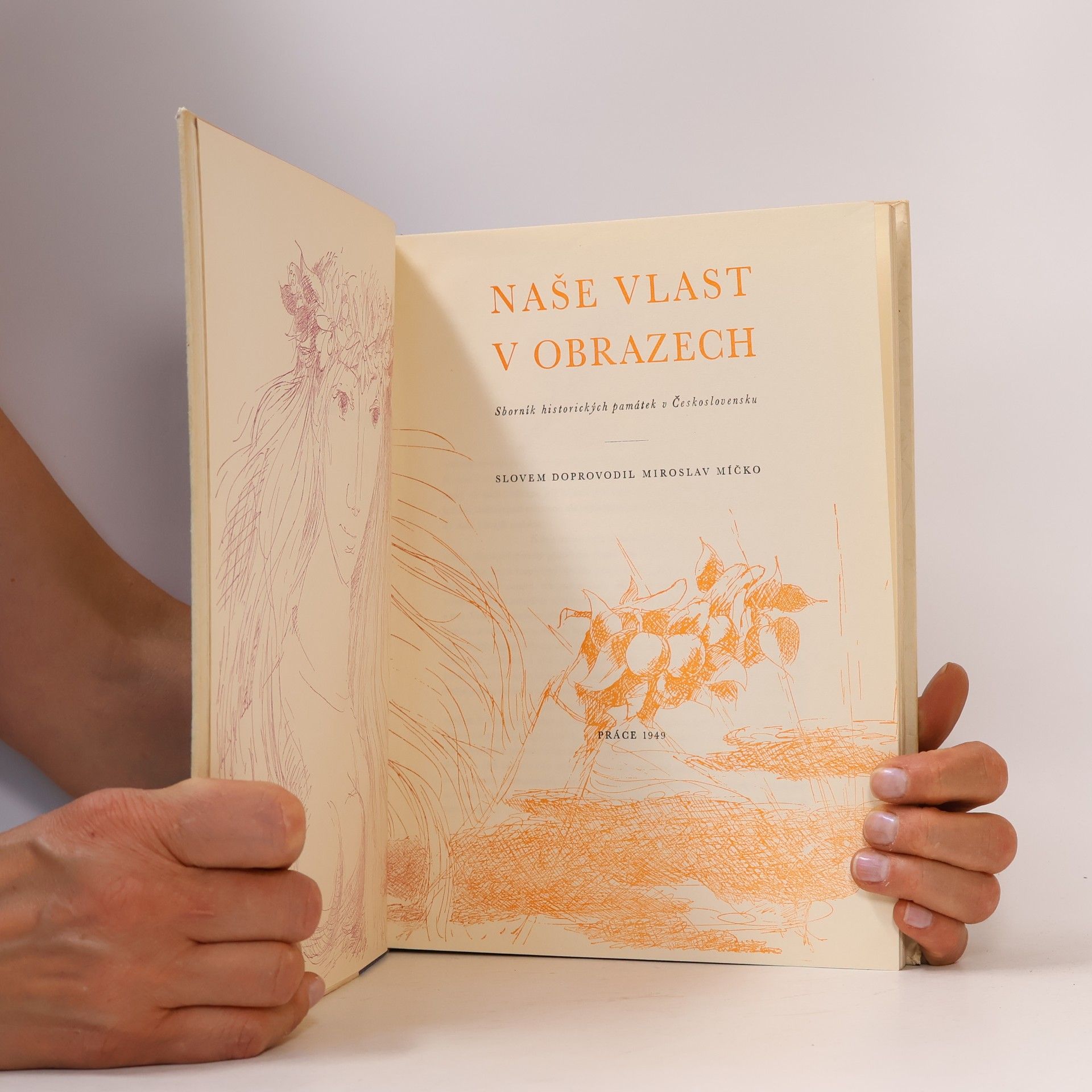 Miroslav Míčko Naše vlast v obrazech