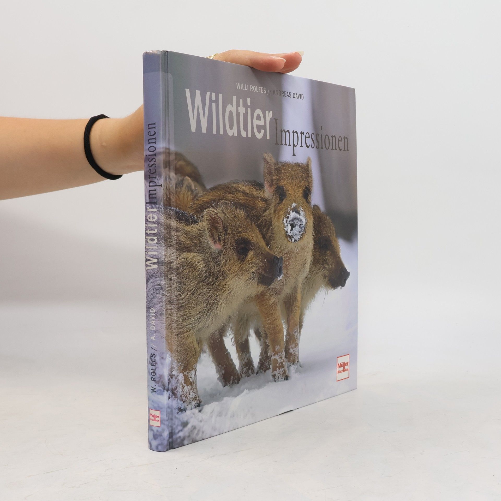 Willi Rolfes WildtierImpressionen