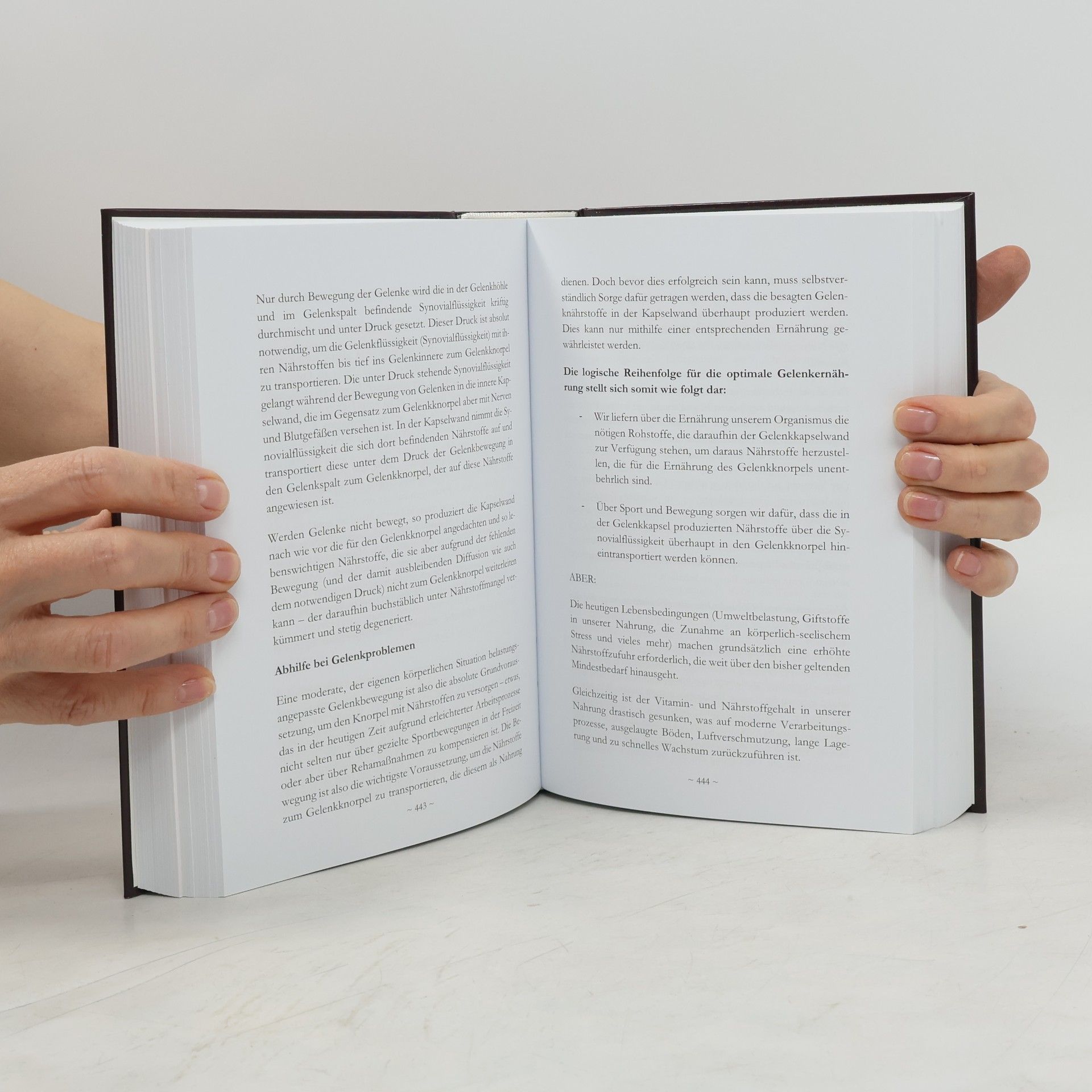 Autorenkollektiv Codex Humanus. Das Buch der Menschlichkeit I