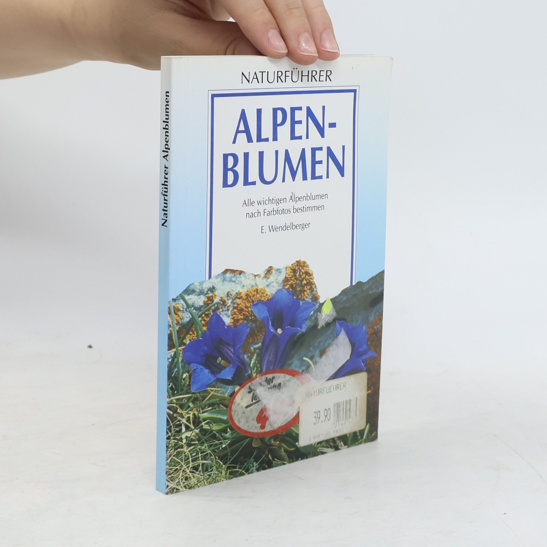 Elfrune Wendelberger Alpenblumen