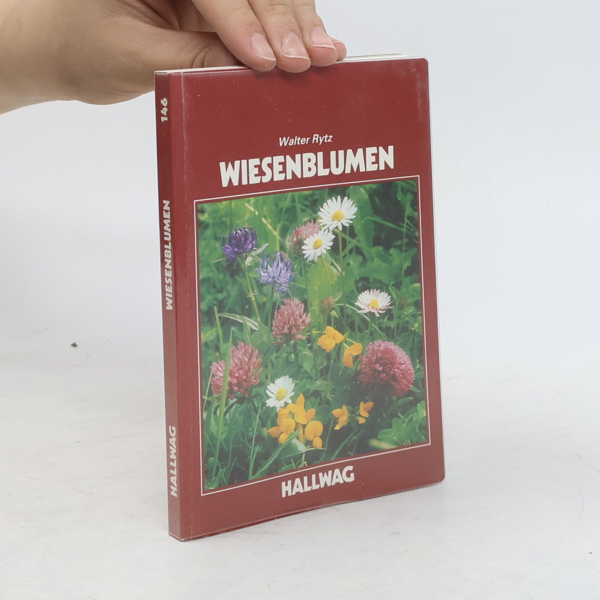 Walther Rytz Wiesenblumen