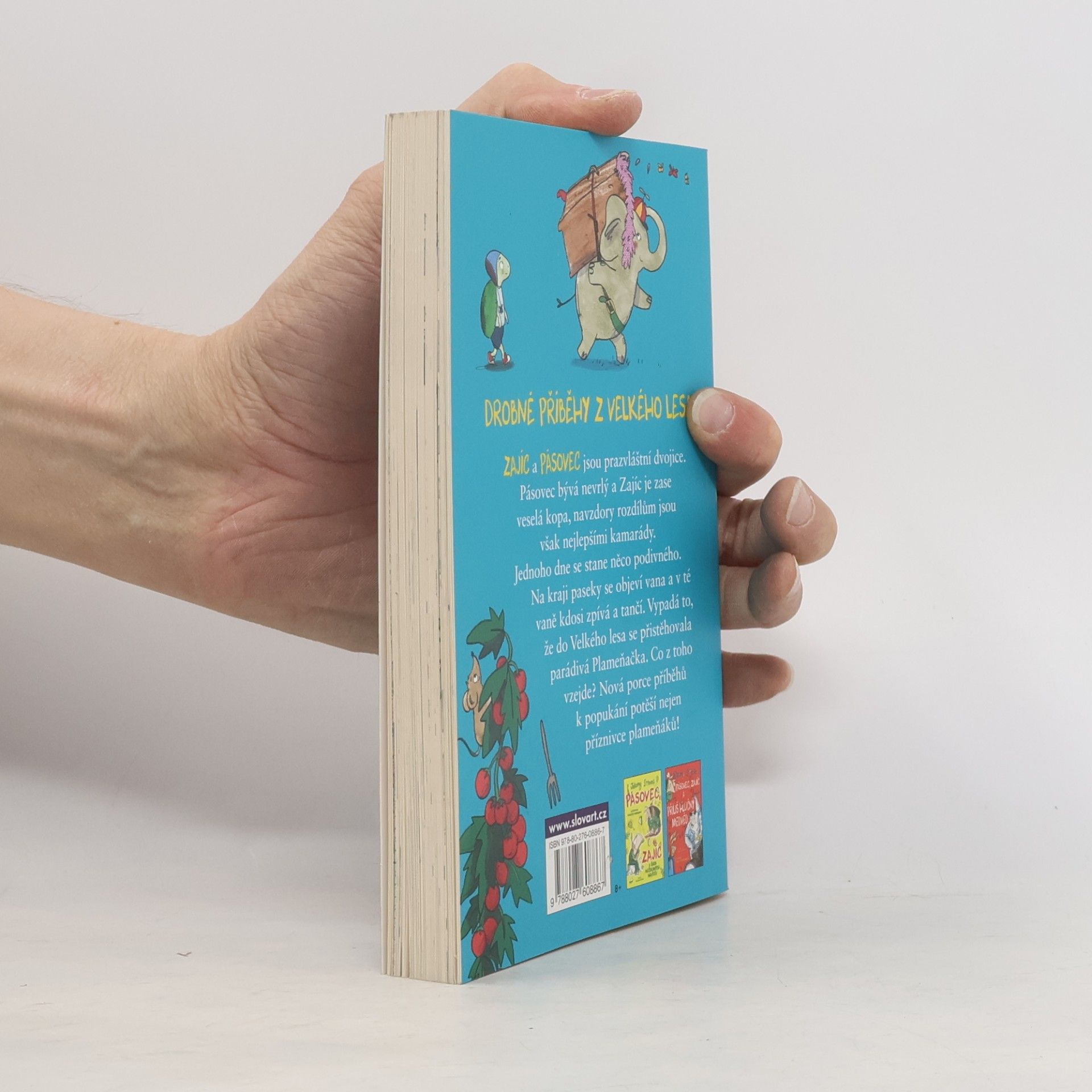 Jeremy Strong Pásovec, Zajíc a růžový rozruch