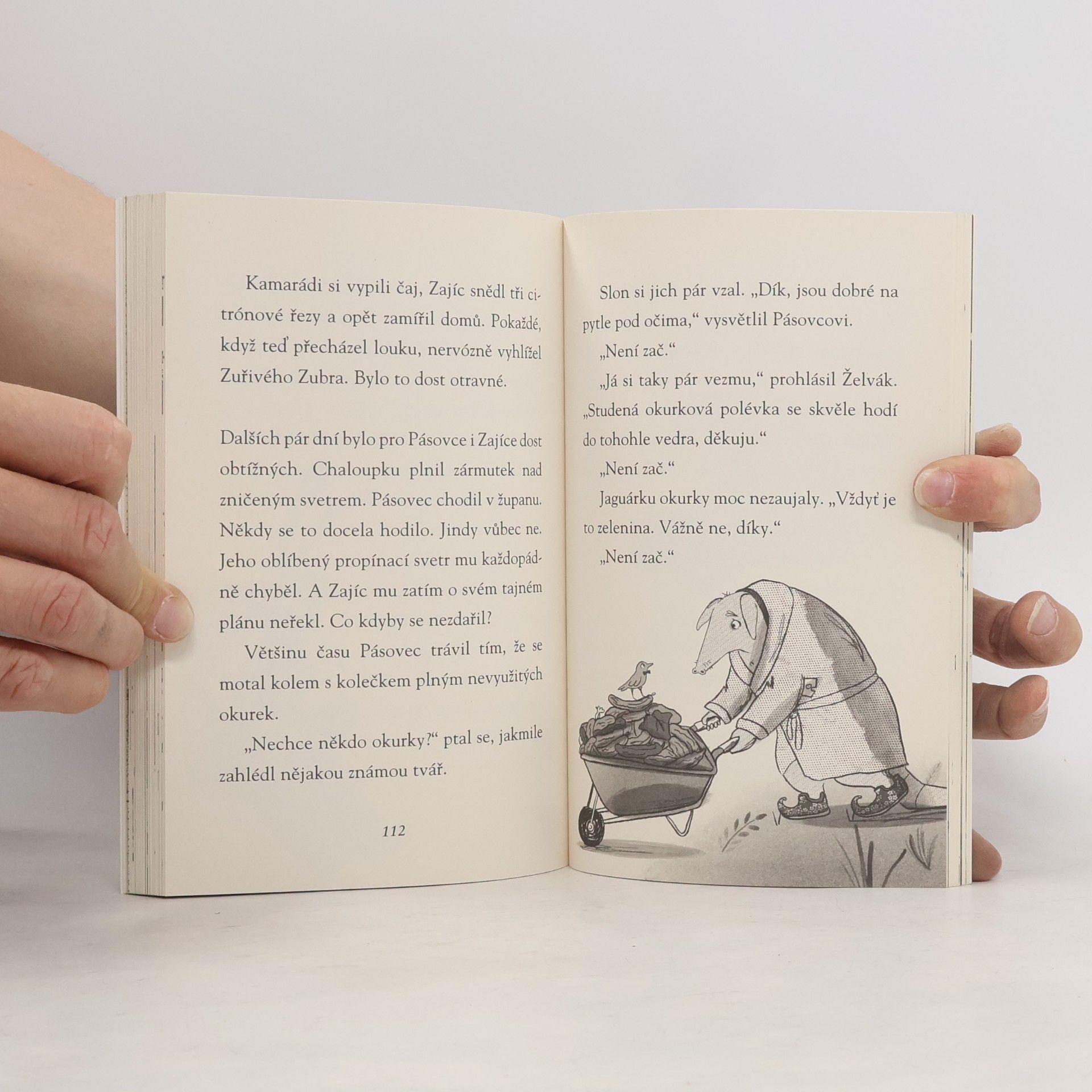 Jeremy Strong Pásovec, Zajíc a růžový rozruch