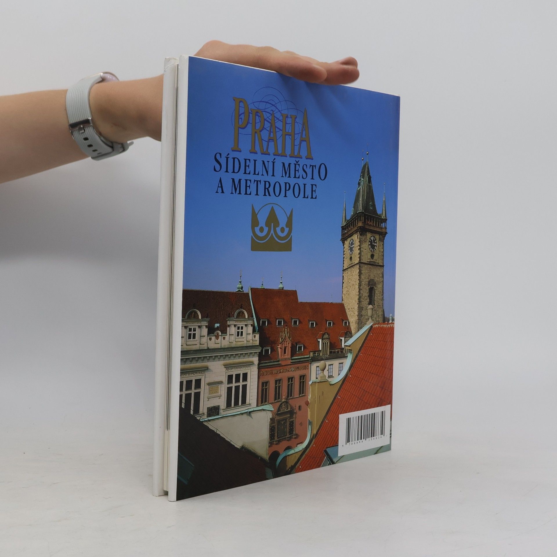 Petr Čornej Praha sídelní město a metropole