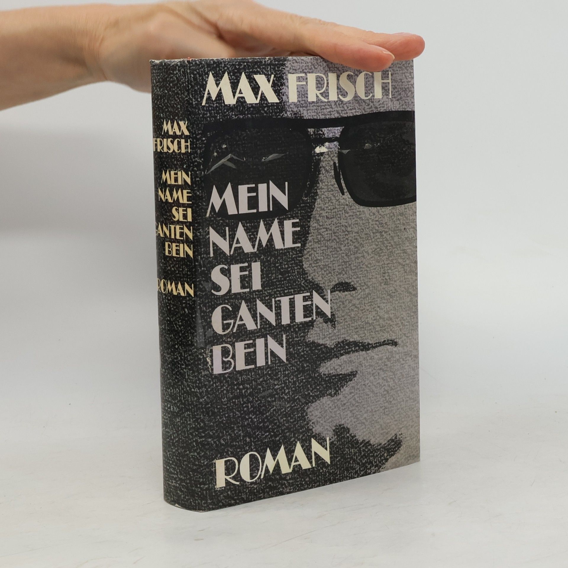 Max Frisch Mein Name sei Gantenbein