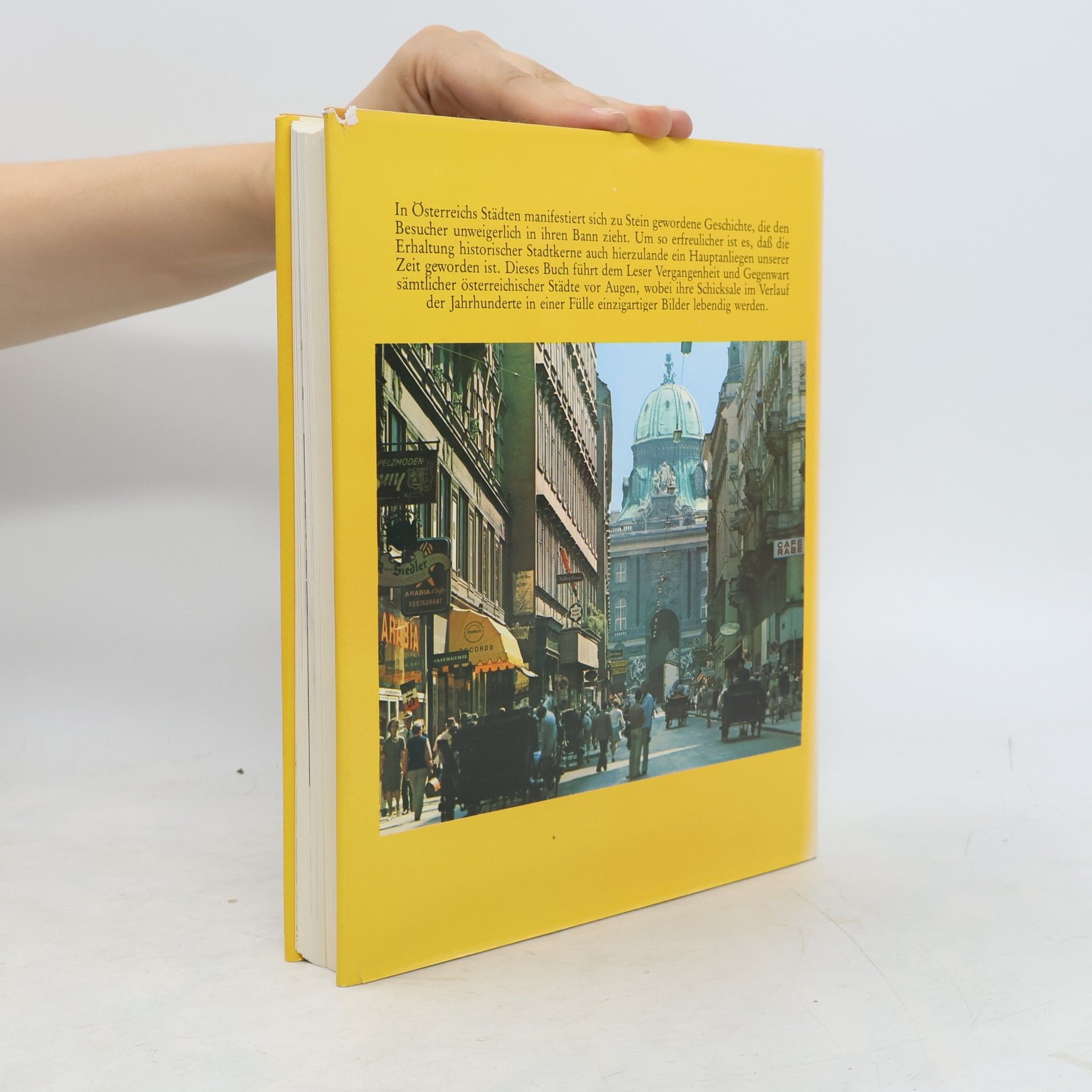 Autores varios Von Stadt zu Stadt in Österreich