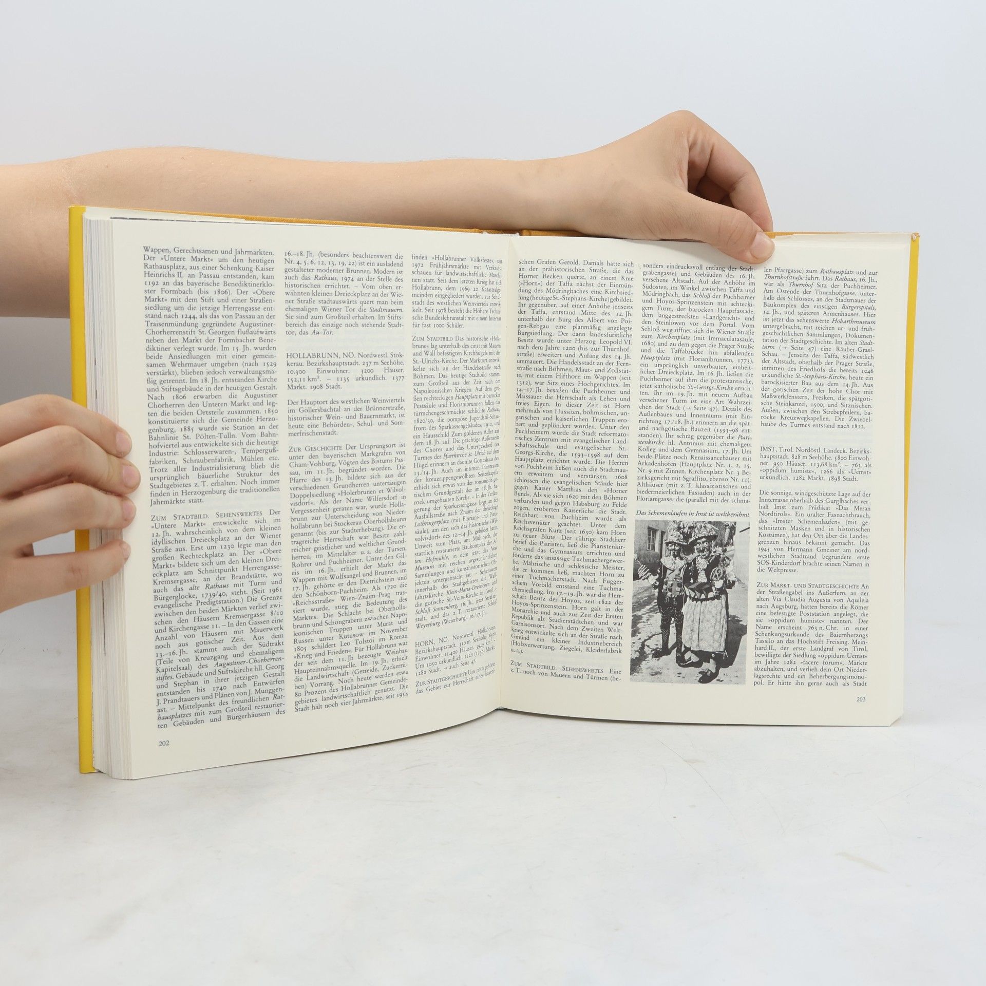 Autores varios Von Stadt zu Stadt in Österreich
