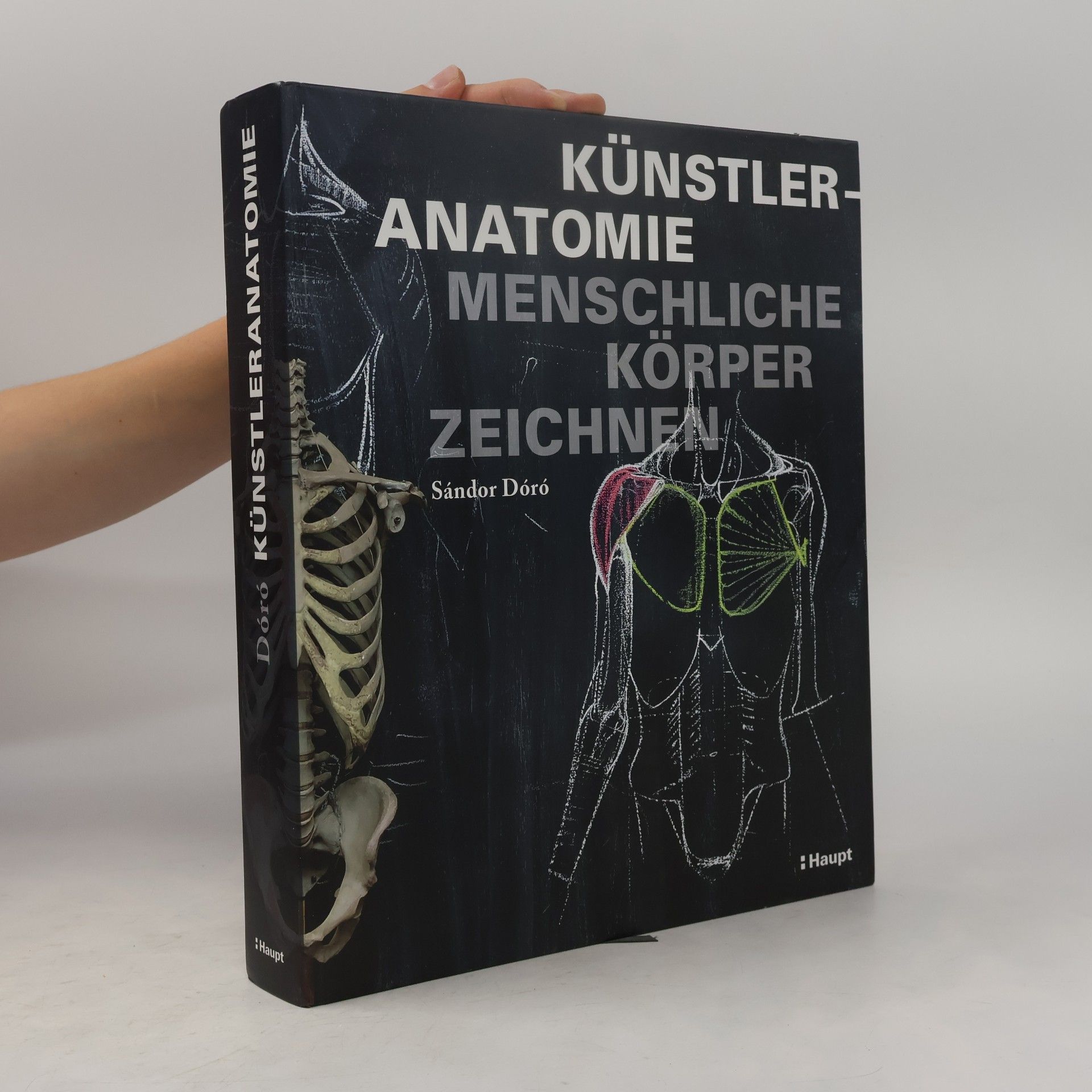 Sándor Dóró Künstleranatomie