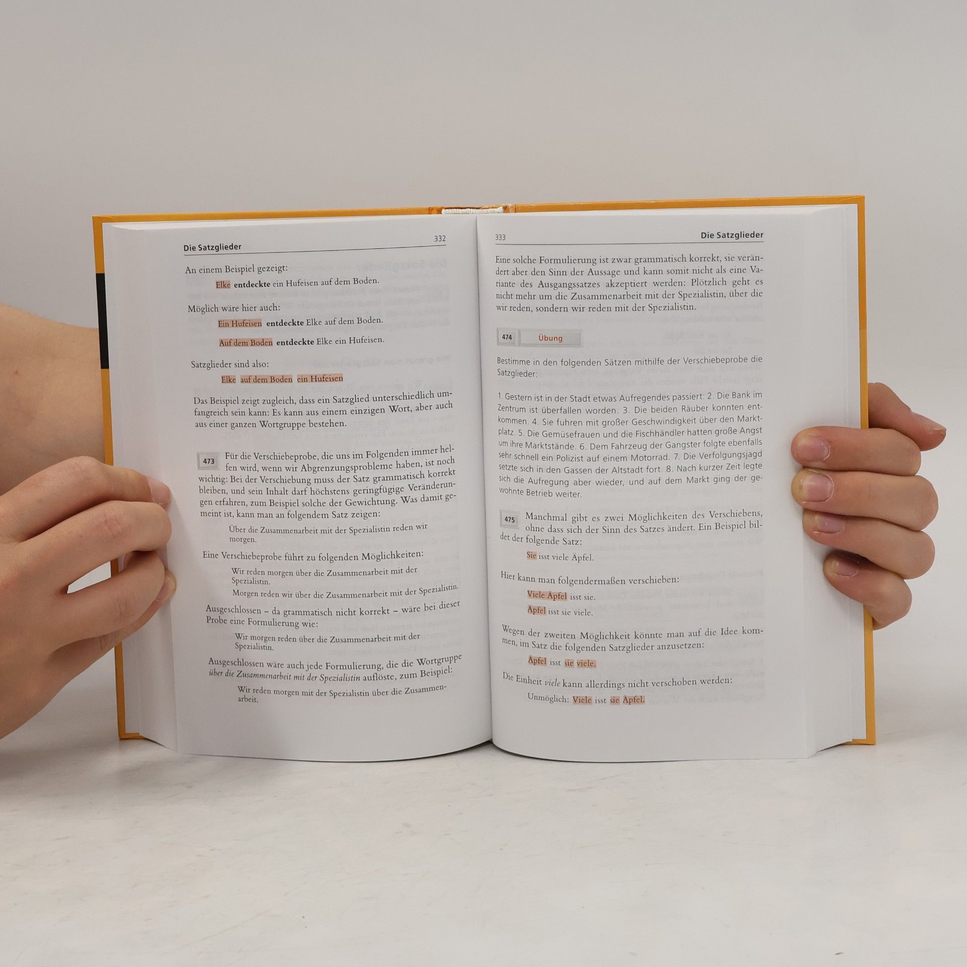 Peter Gallmann Schülerduden, Grammatik