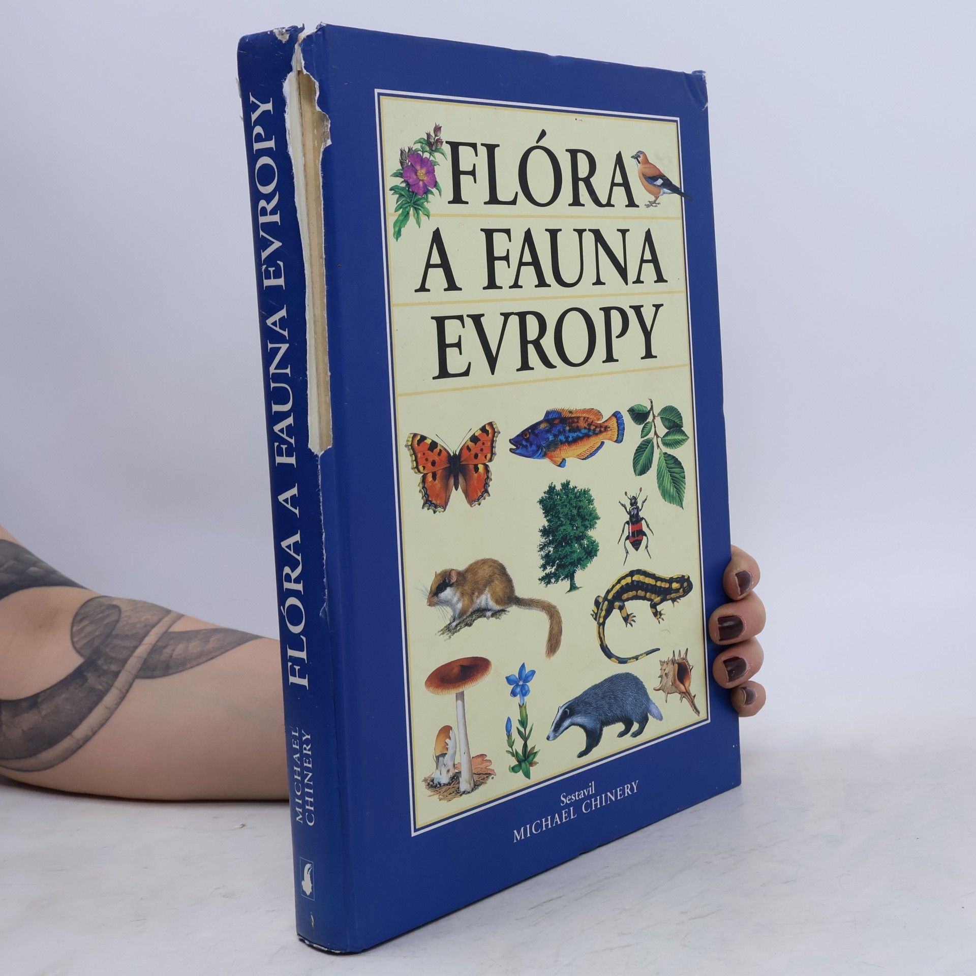 Michael Chinery Flóra a fauna Evropy
