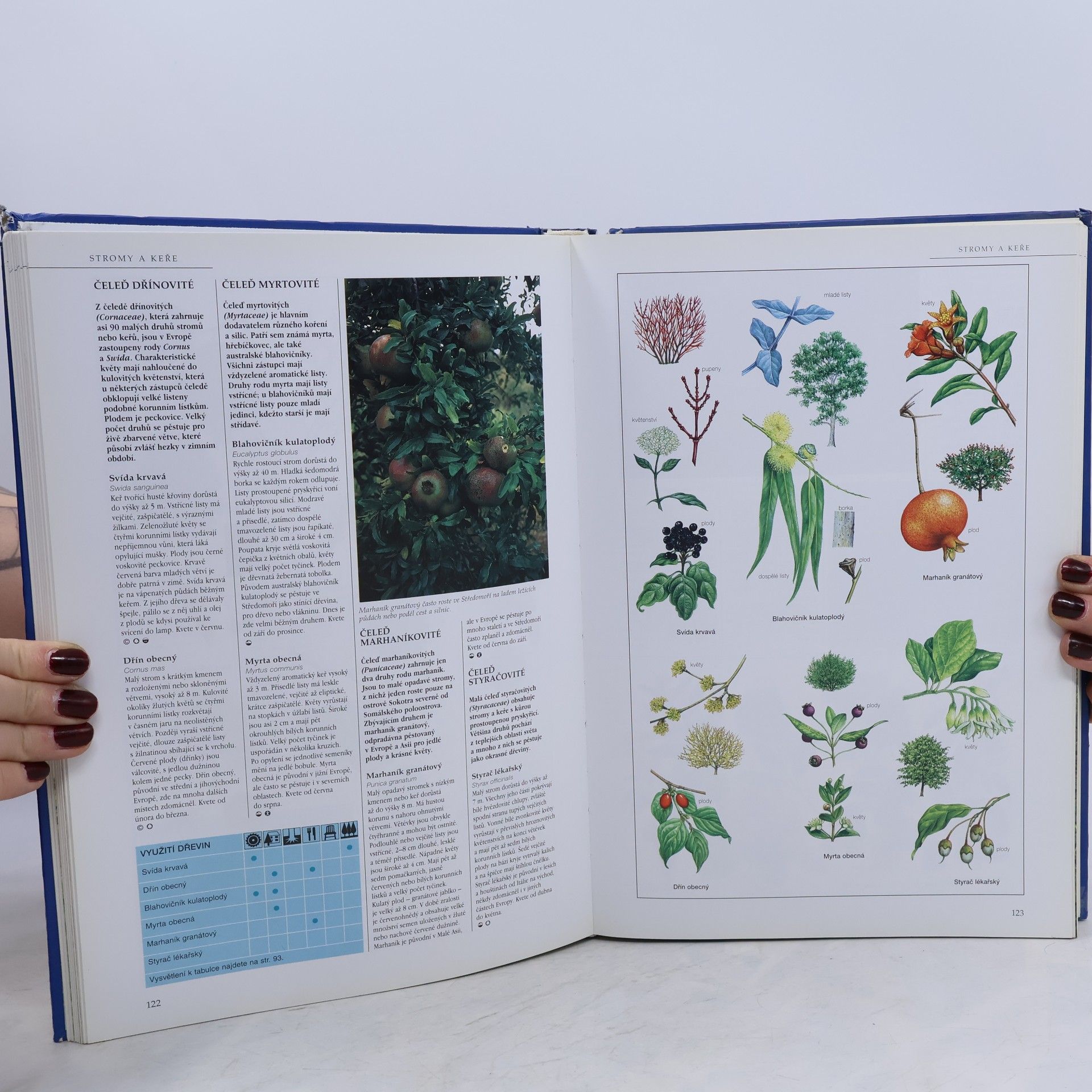 Michael Chinery Flóra a fauna Evropy