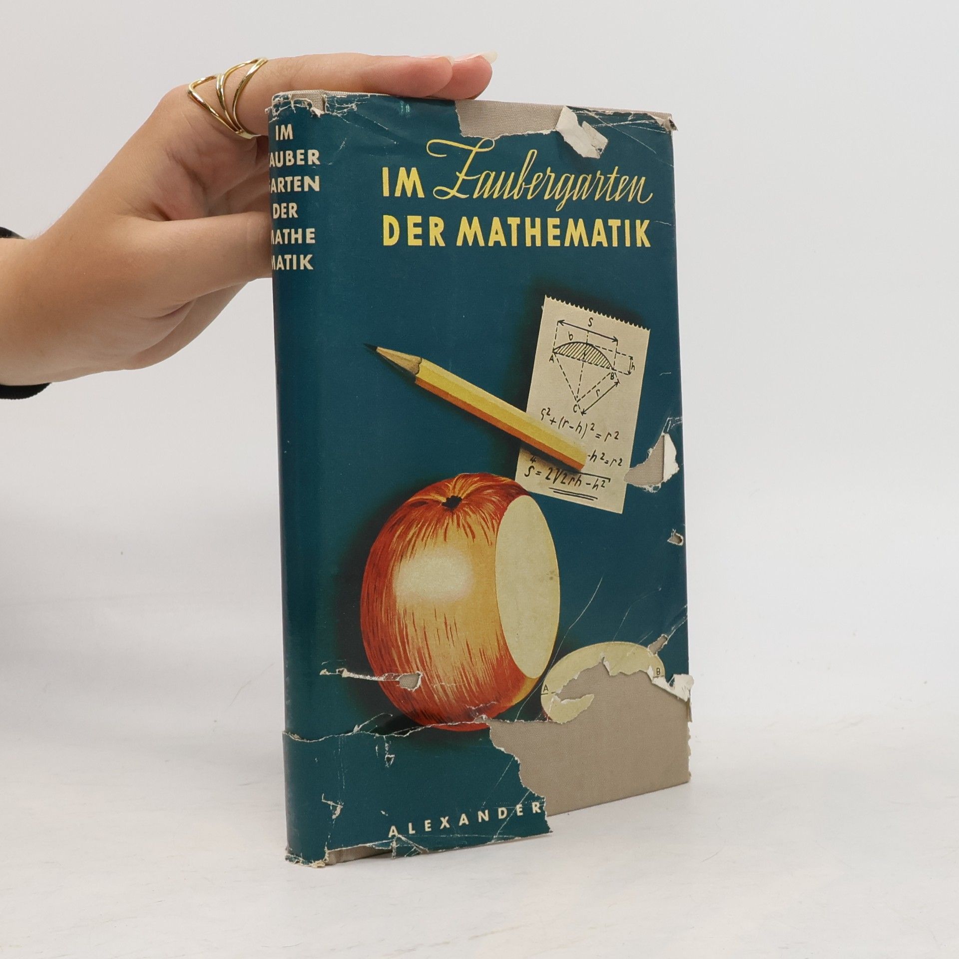 Alexander Niklitschek Im Zaubergarten der Mathematik