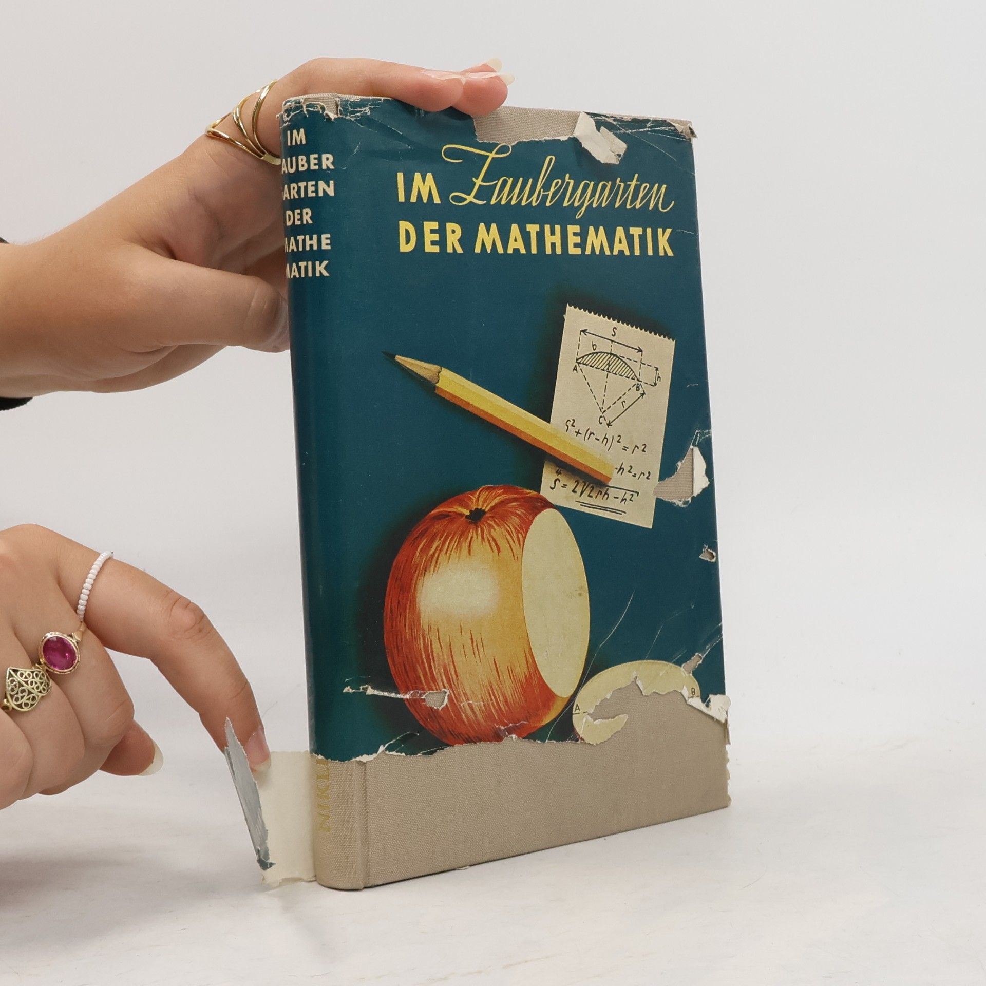 Alexander Niklitschek Im Zaubergarten der Mathematik