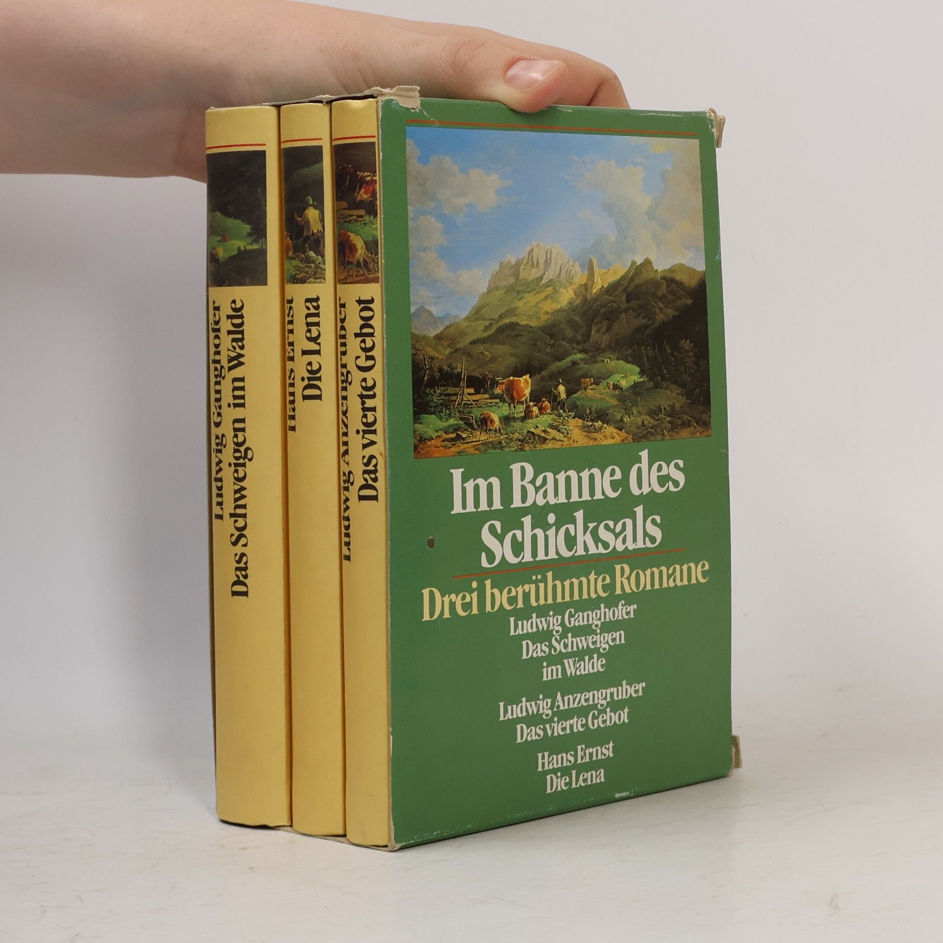 Autorenkollektiv Im Banne des Schicksals