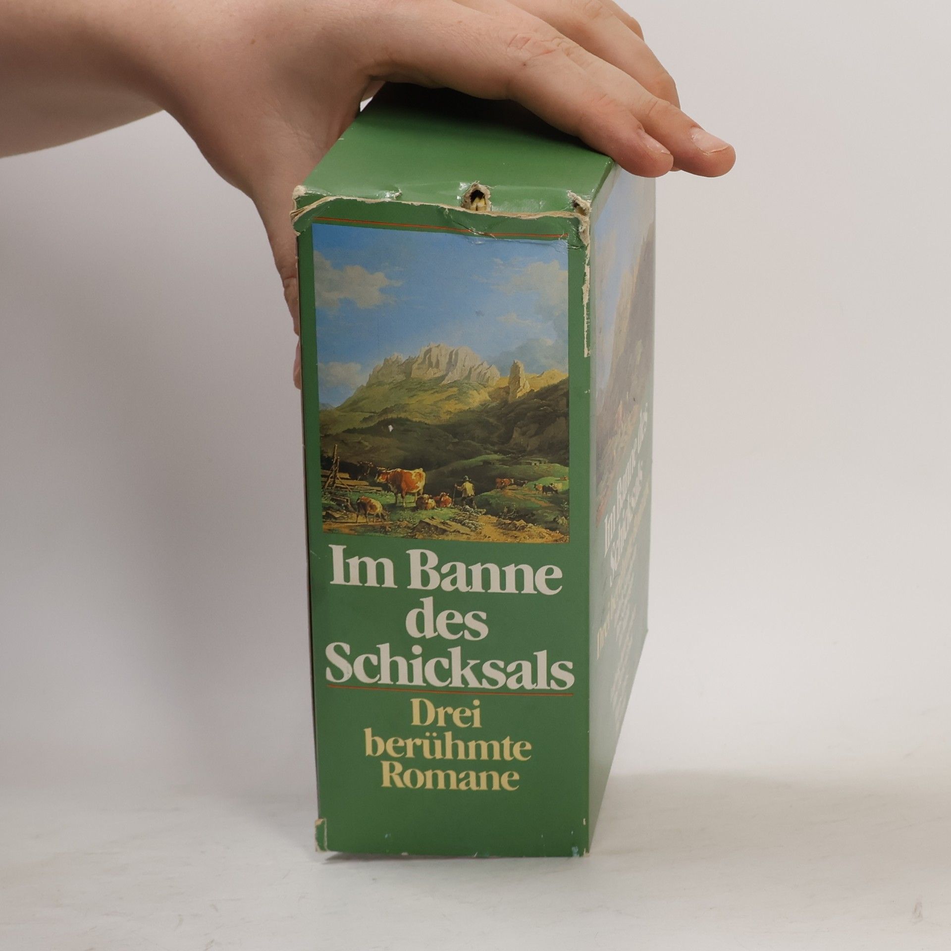 Autorenkollektiv Im Banne des Schicksals