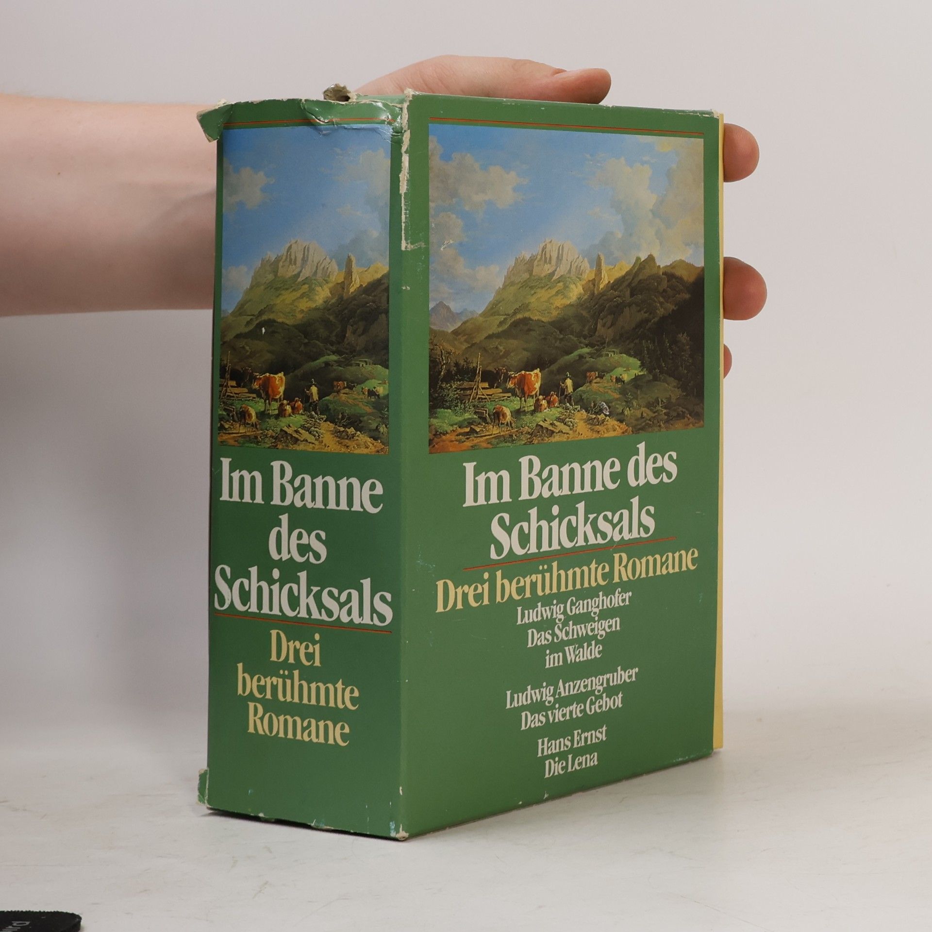 Autorenkollektiv Im Banne des Schicksals