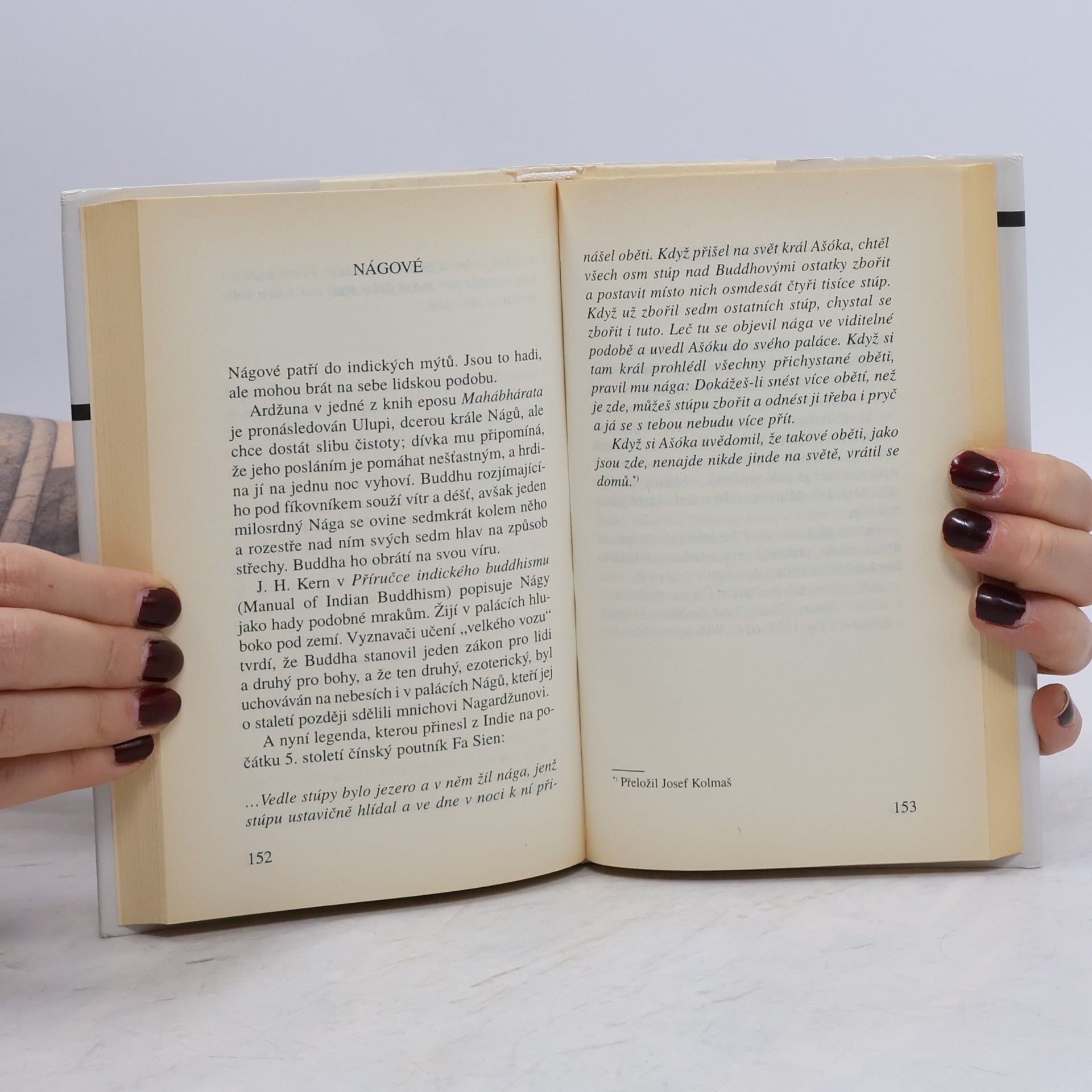 Jorge Luis Borges Fantastická zoologie