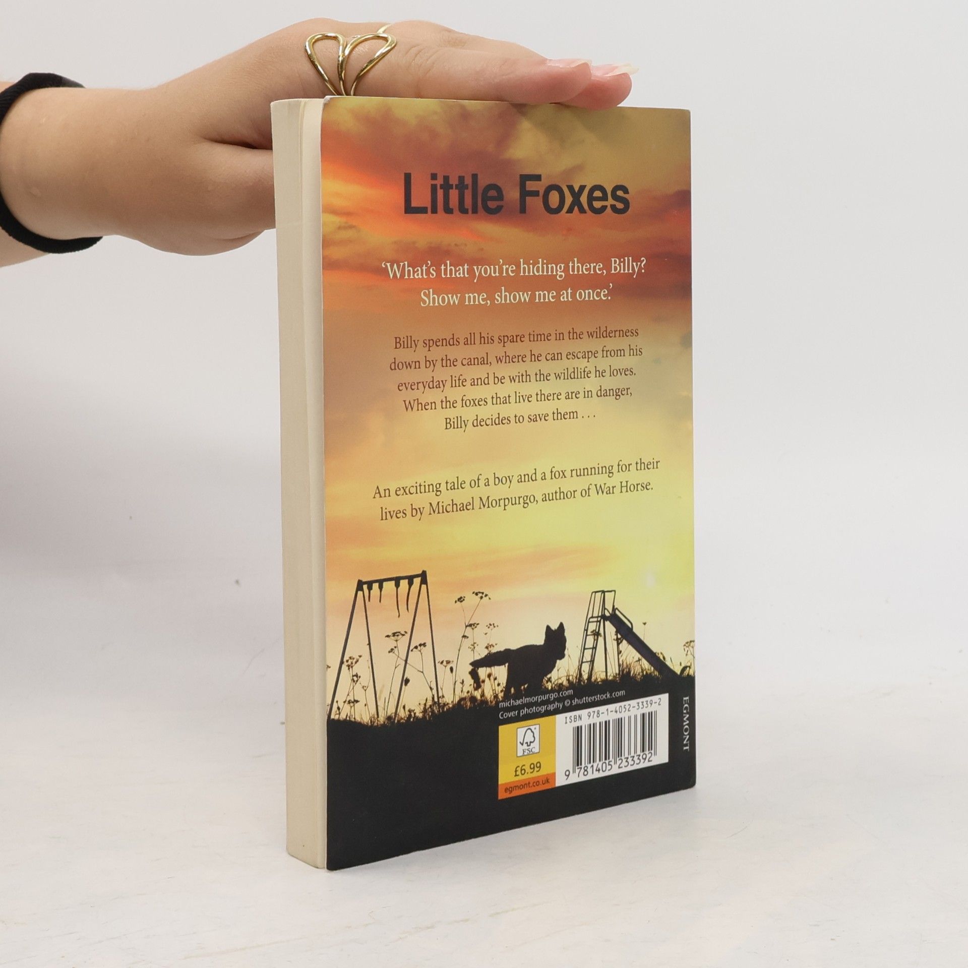 Michael Morpurgo Little Foxes