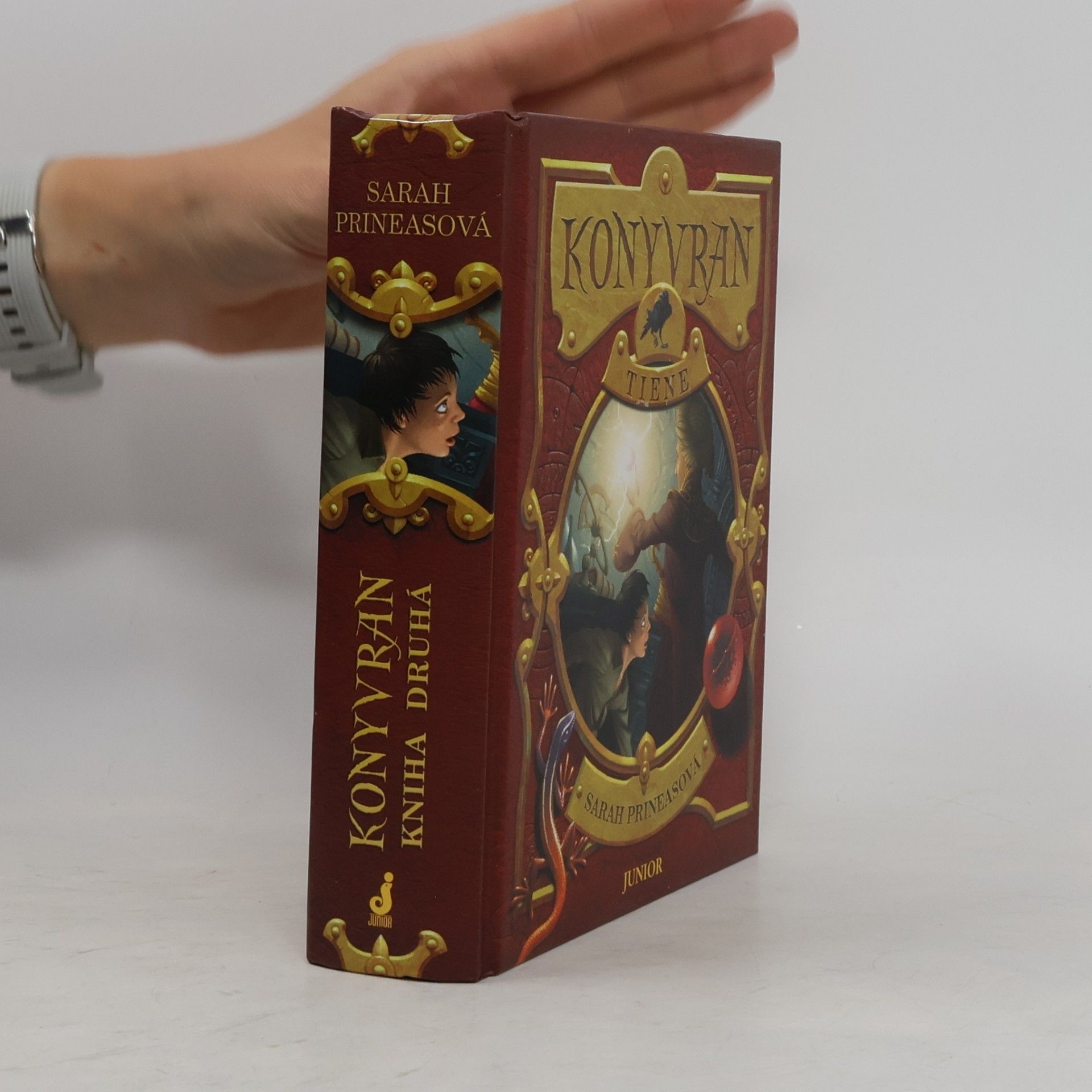 Sarah Prineas Konyvran, Tiene