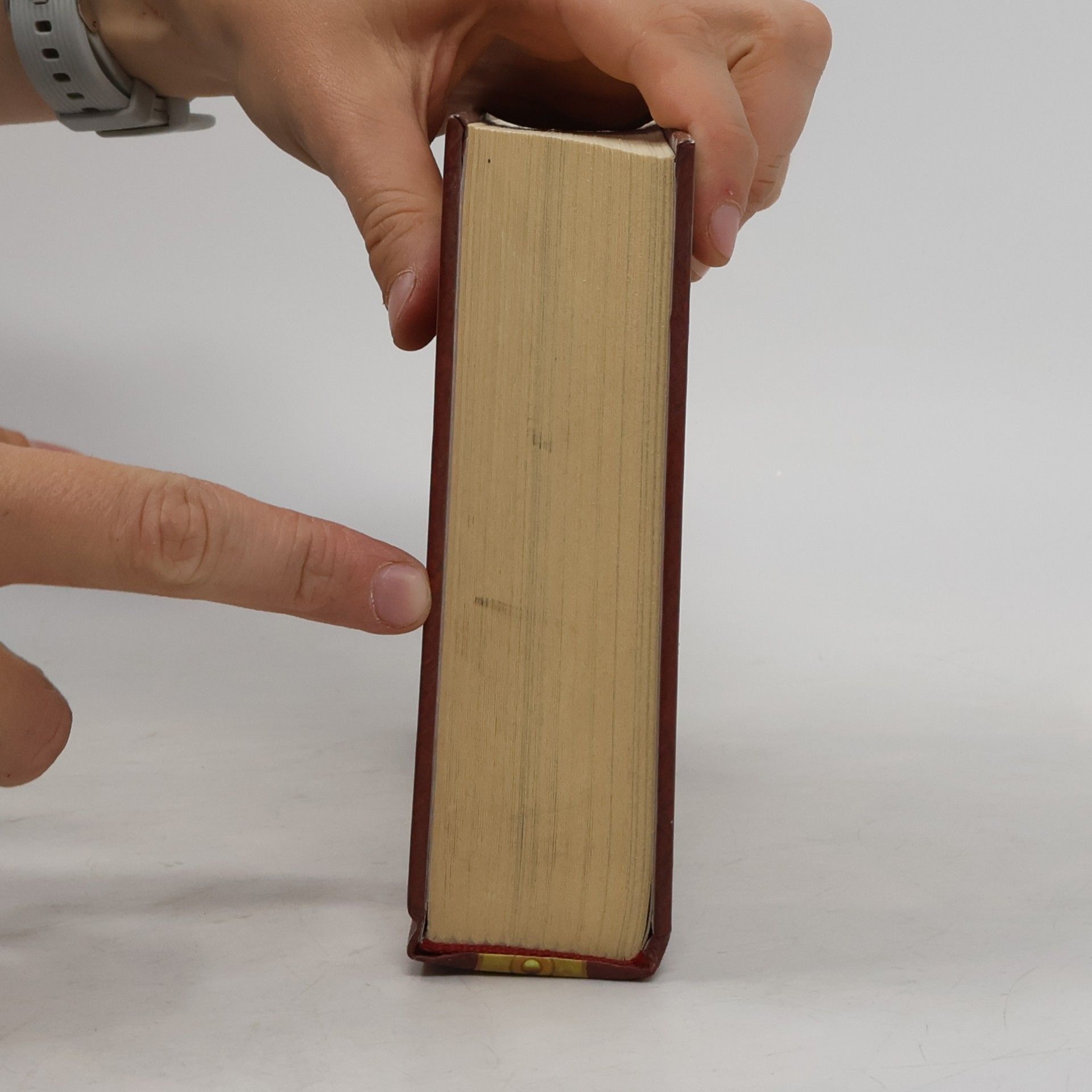 Sarah Prineas Konyvran, Tiene