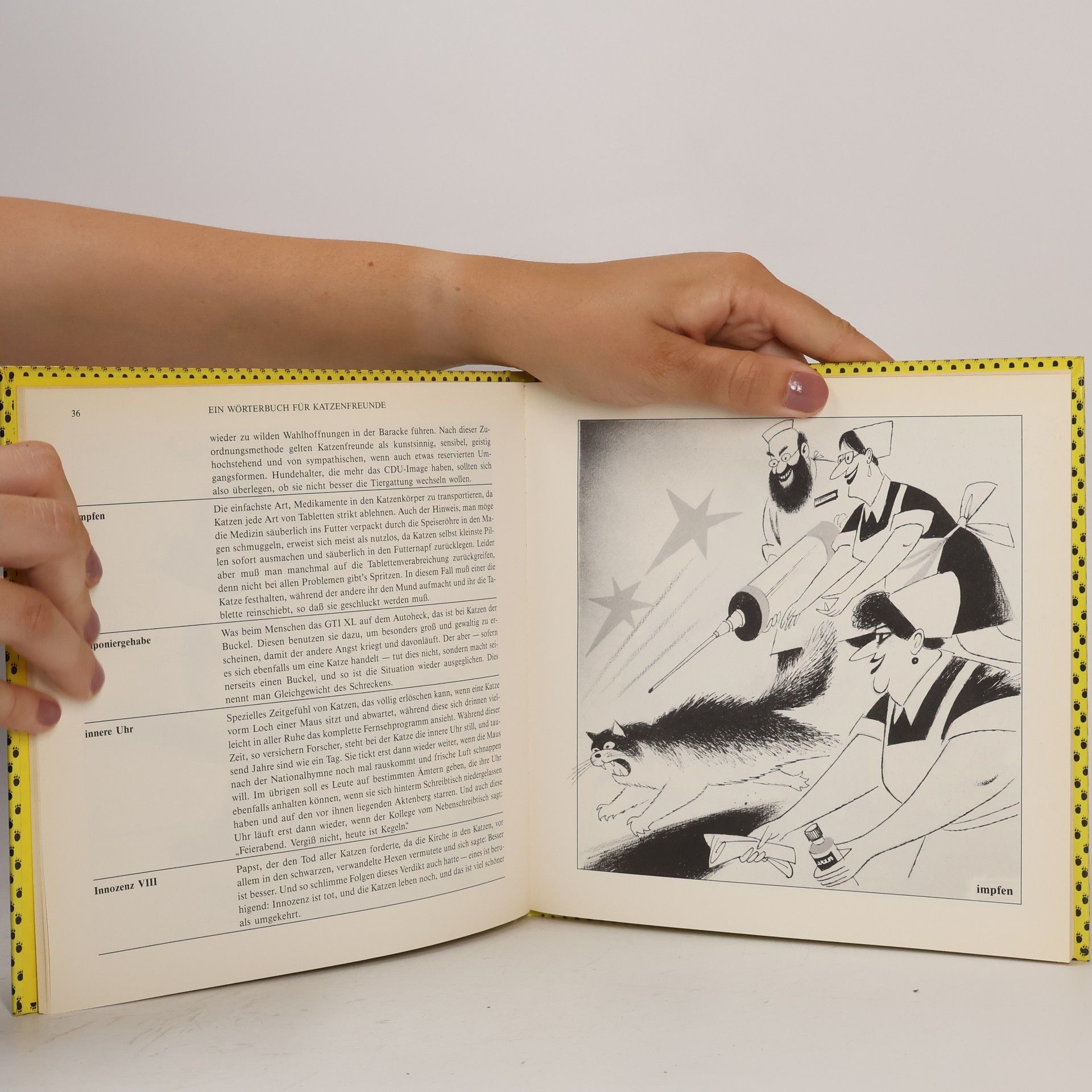 Oldřich Jelínek Ein wörterbuch für Katzenfreunde