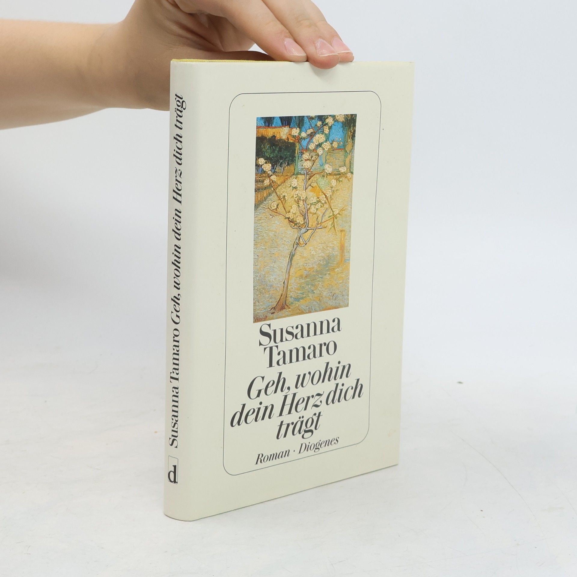 Susanna Tamaro Geh, wohin dein Herz dich trägt