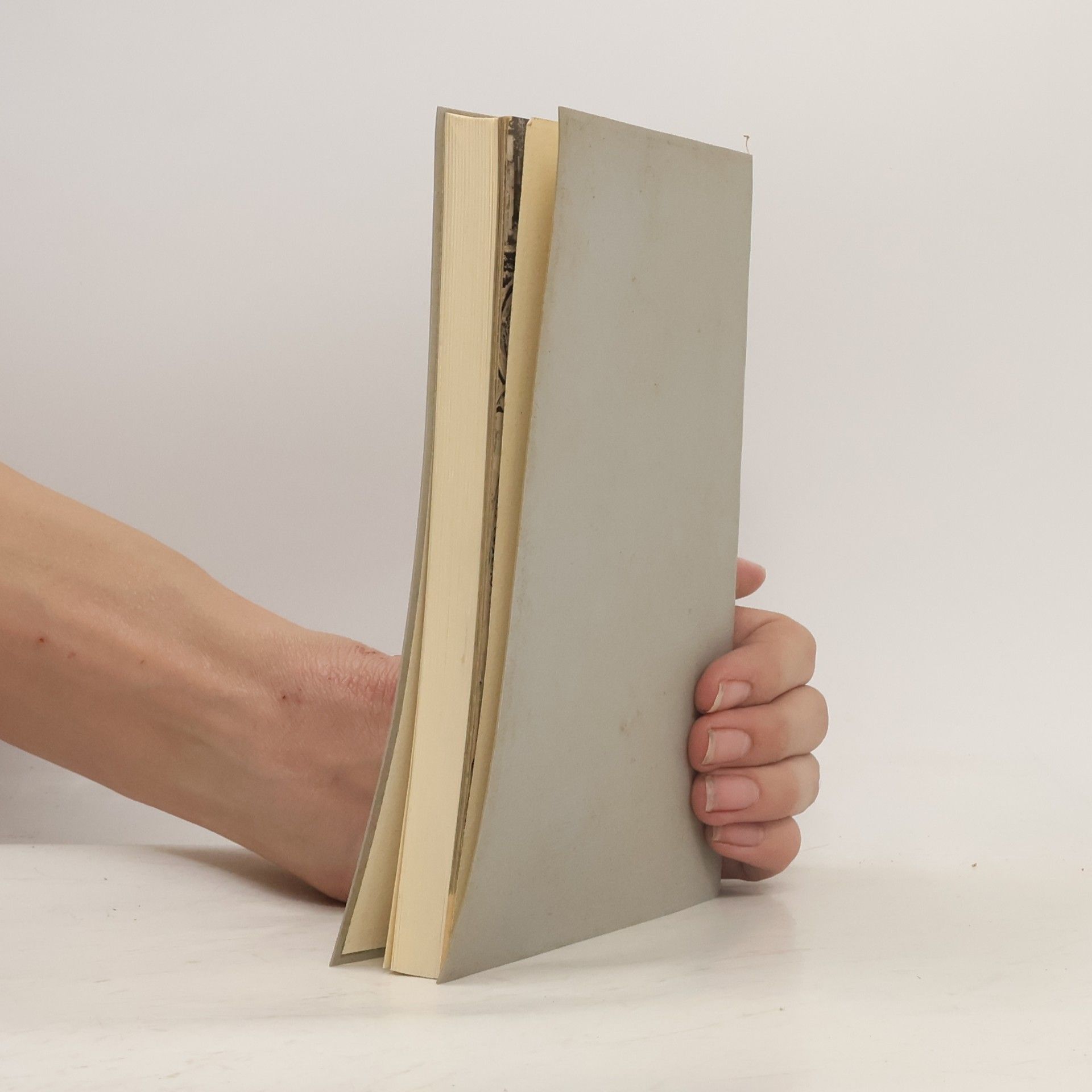 Autores varios Deutsche Sondergotik