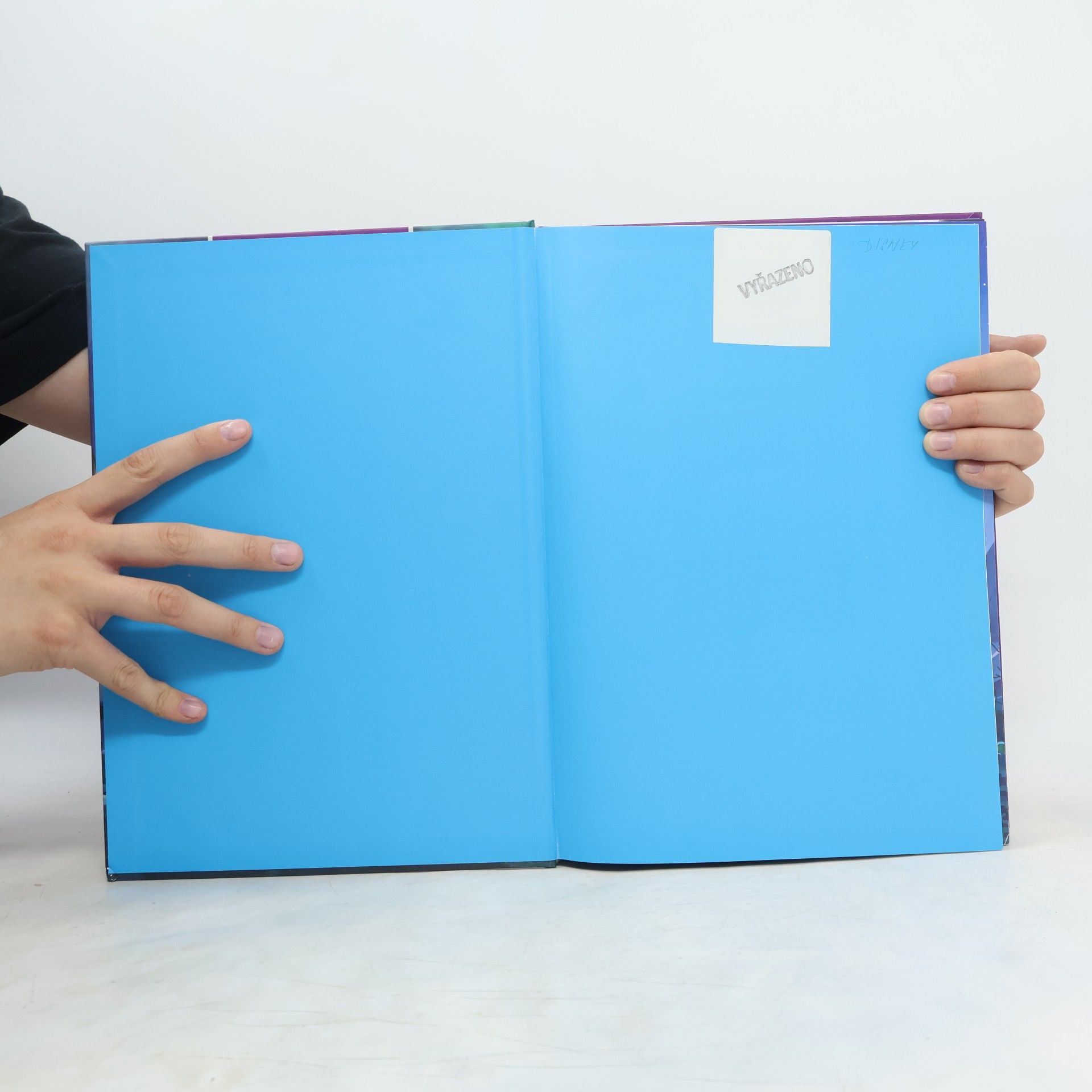 Autorenkollektiv Zlatá kniha. Polární záře. Ledové království