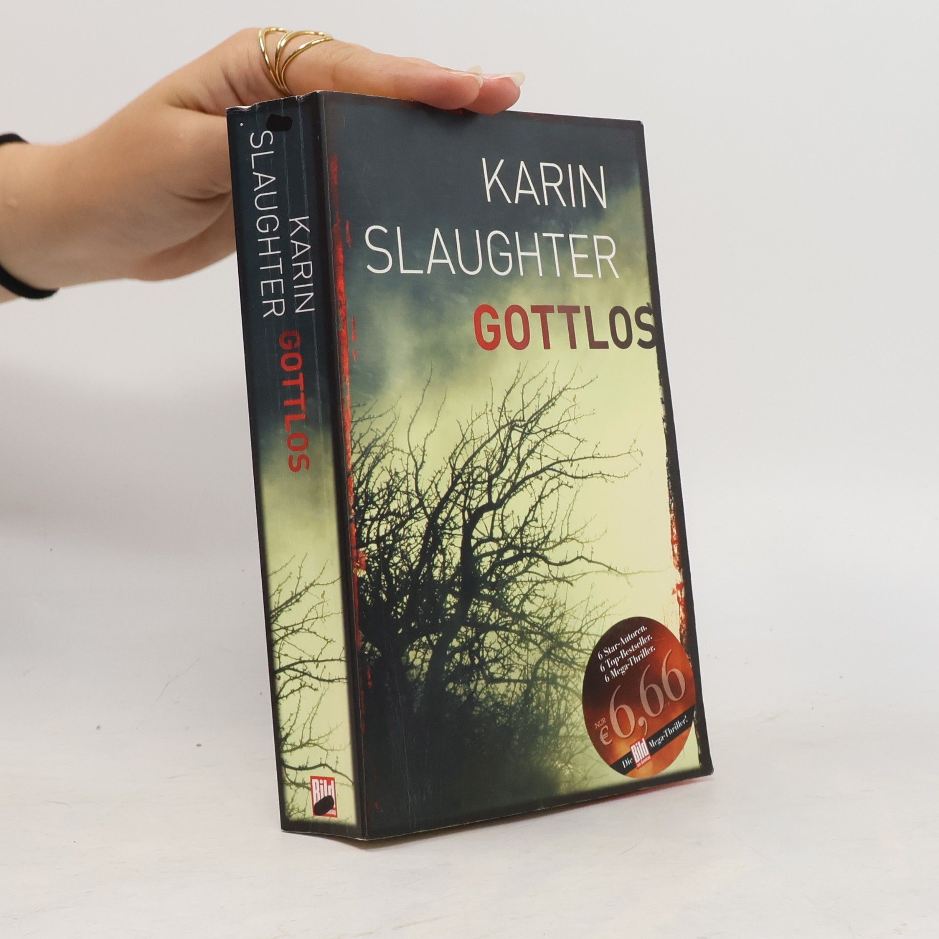 Karin Slaughter Gottlos