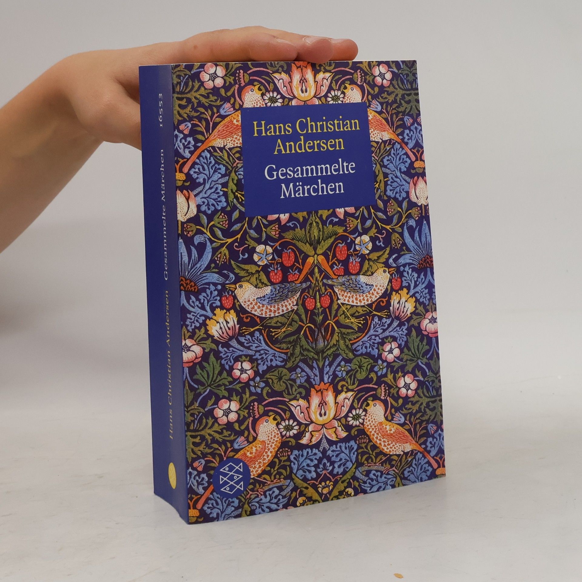 Hans Christian Andersen Gesammelte Märchen