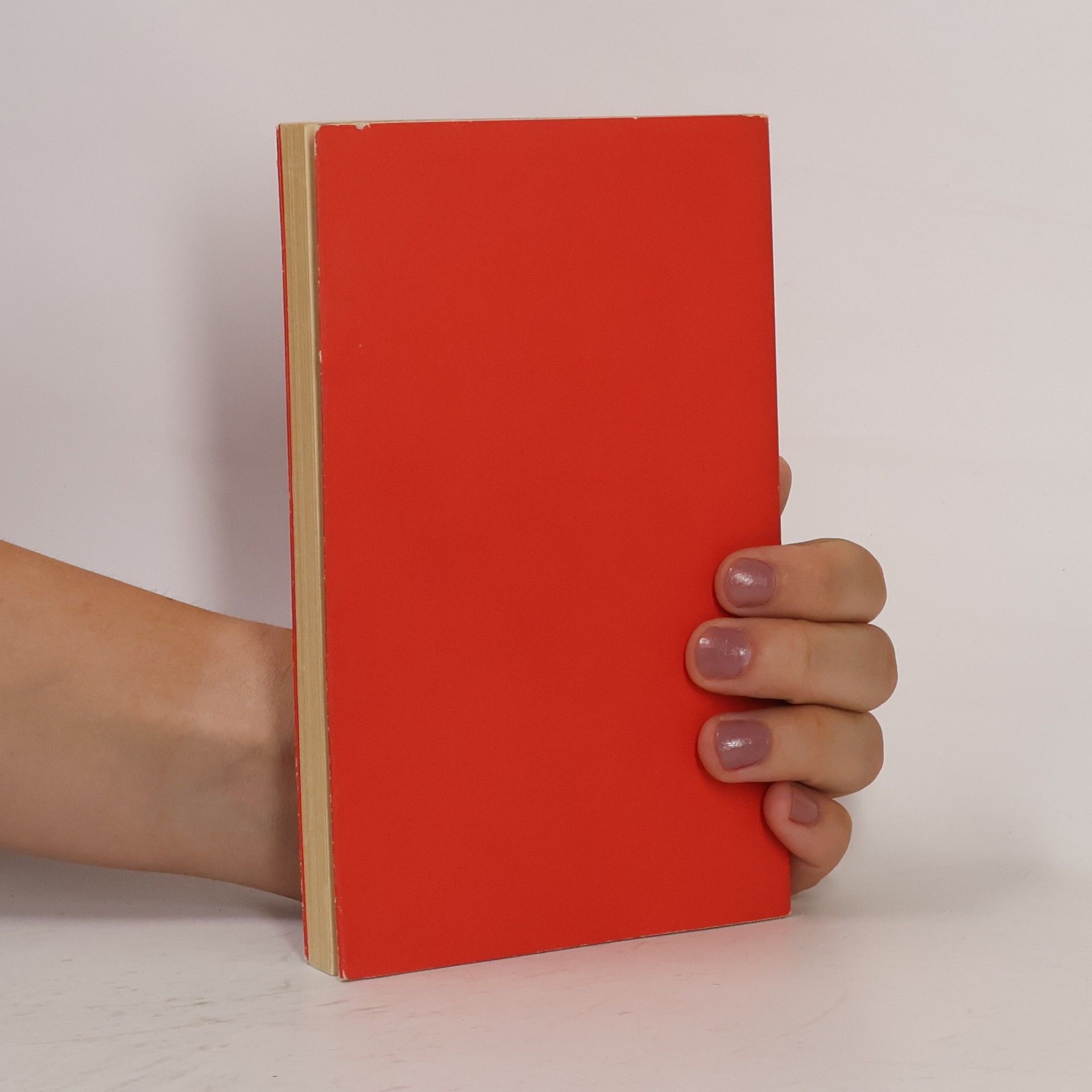Hans Erich Nossack Die schwache Position der Literatur