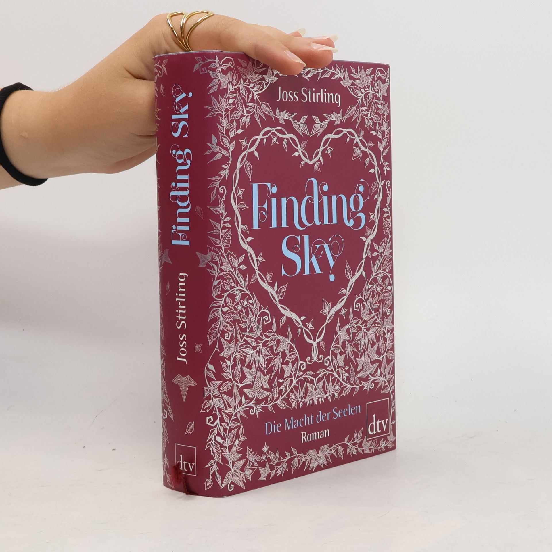 Julia Golding Finding Sky: Die Macht der Seelen